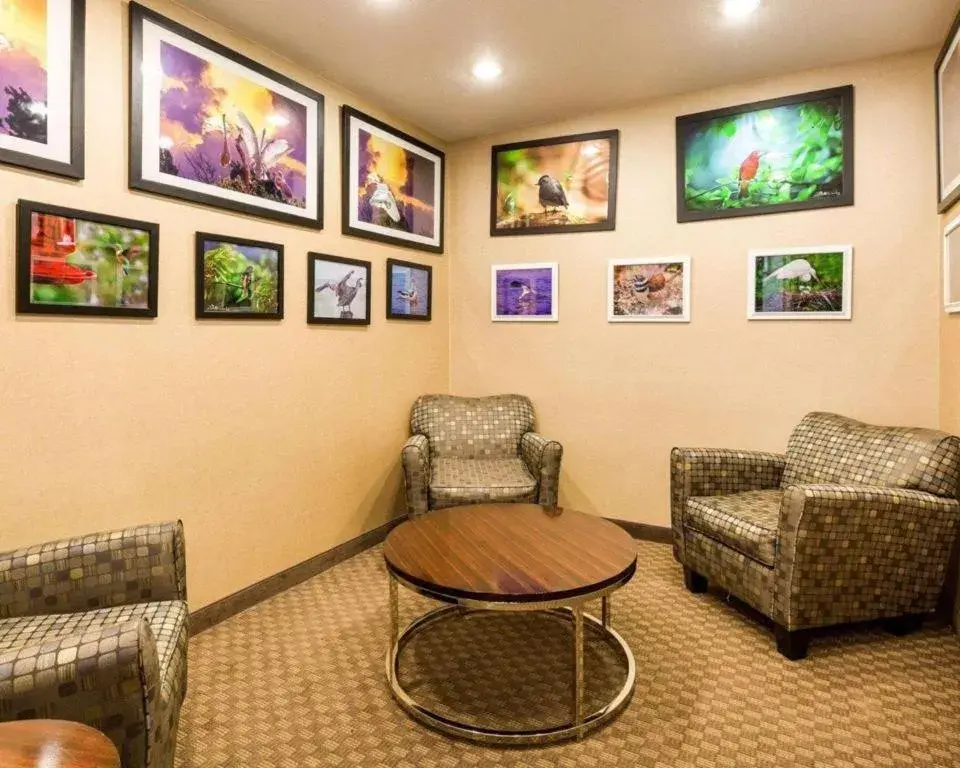 Comfort Inn & Suites Winnie Comfort Inn & Suites Winnie