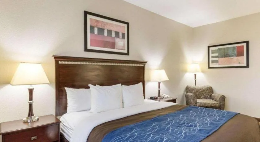 Bed in Comfort Inn & Suites Winnie