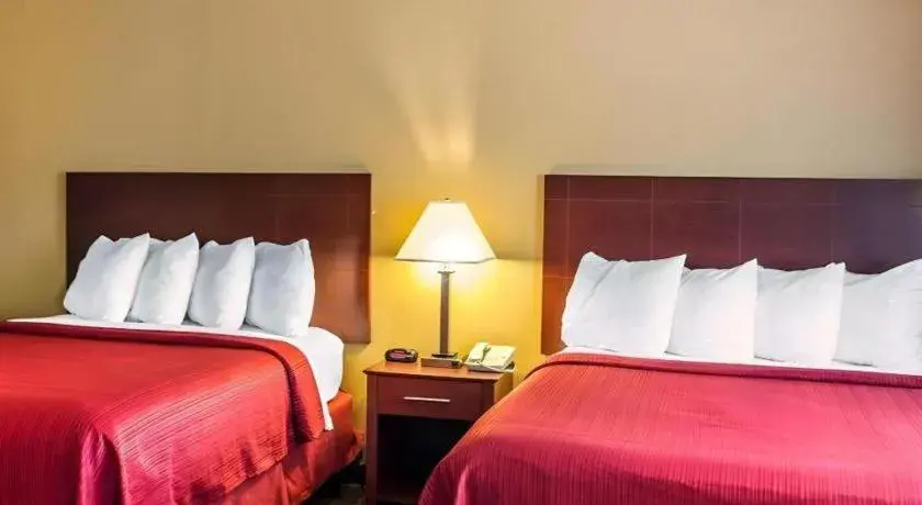 Bed in Quality Inn & Suites Davenport near I-80 Bed in Quality Inn & Suites Davenport near I-80