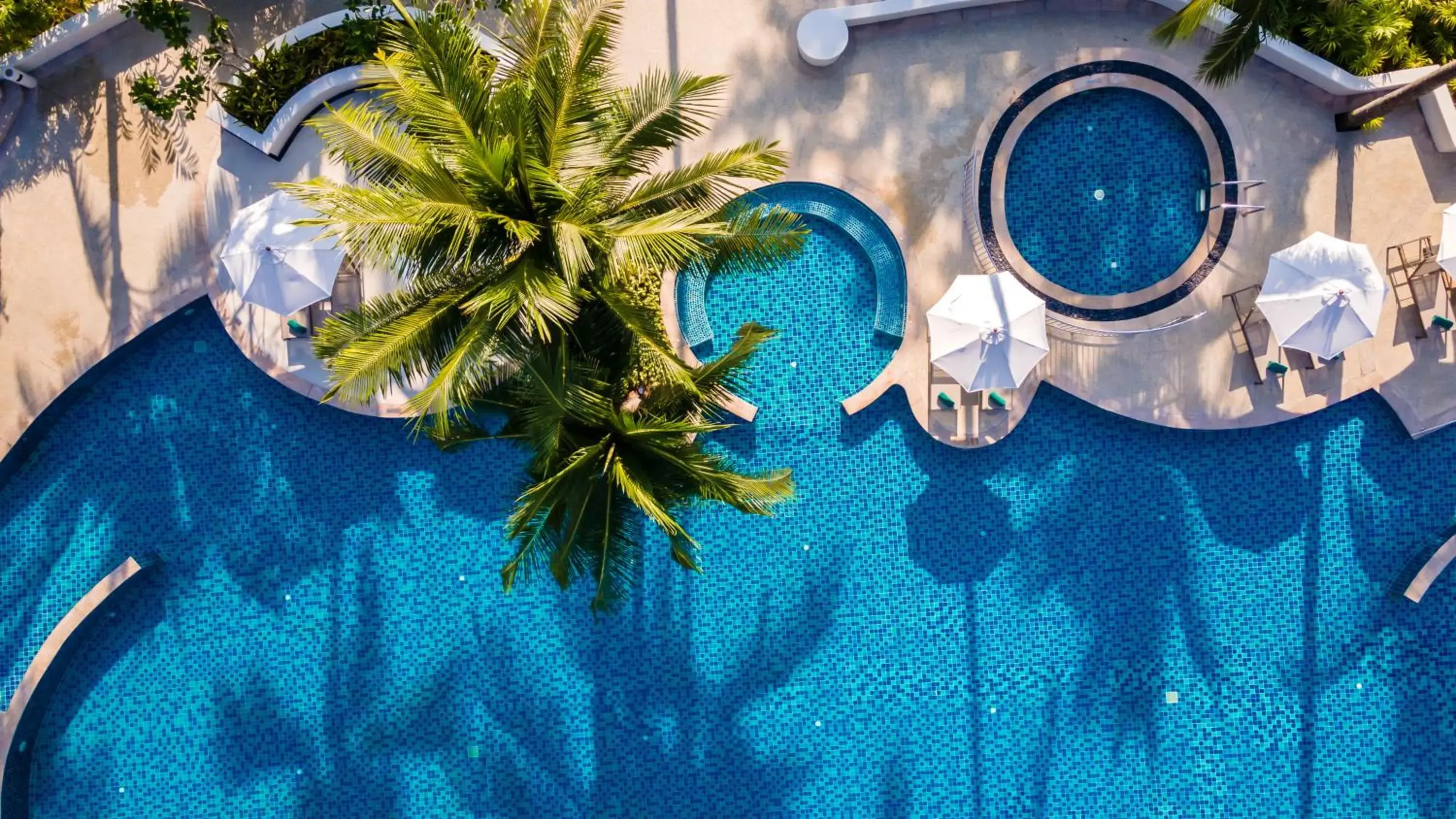 Swimming pool in OUTRIGGER Khao Lak Beach Resort - SHA Extra Plus Swimming pool in OUTRIGGER Khao Lak Beach Resort - SHA Extra Plus