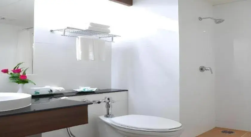 The Color Hotel The Color Hotel