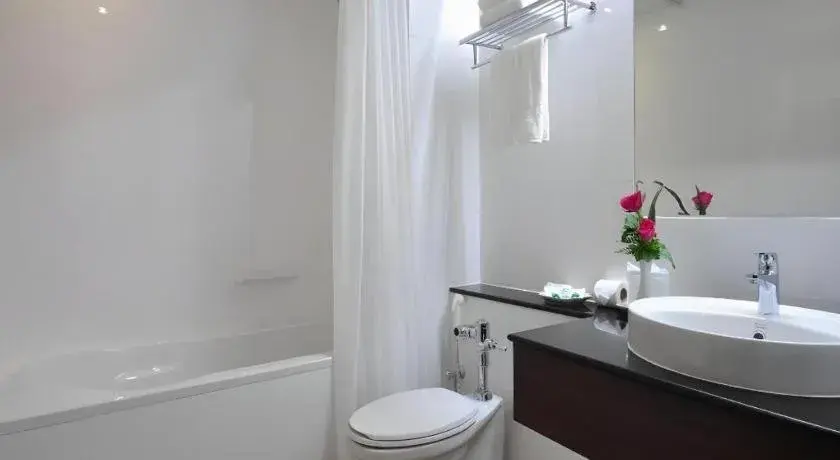 The Color Hotel The Color Hotel