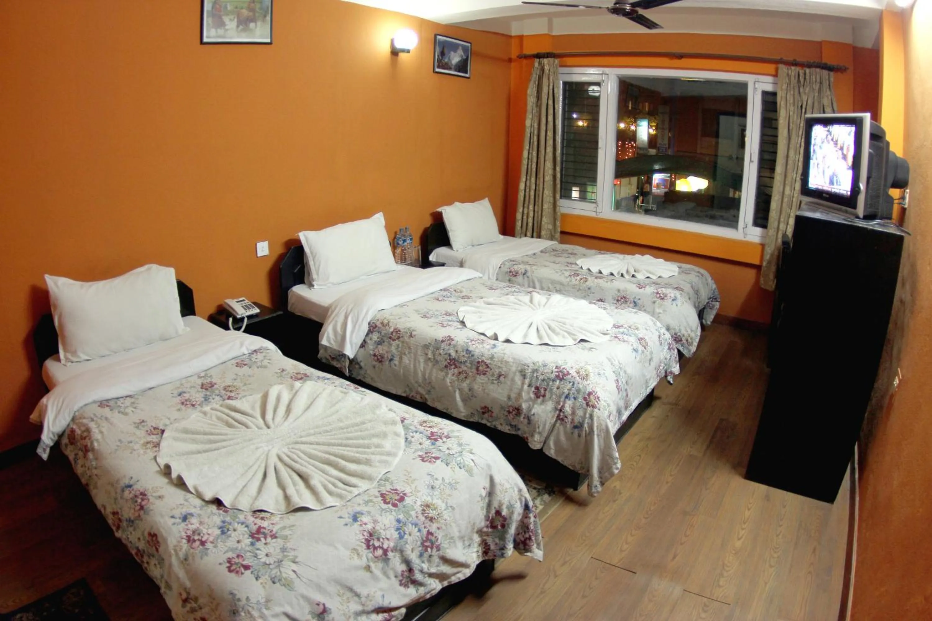 Photo of the whole room, Bed in Bag Packer's Lodge