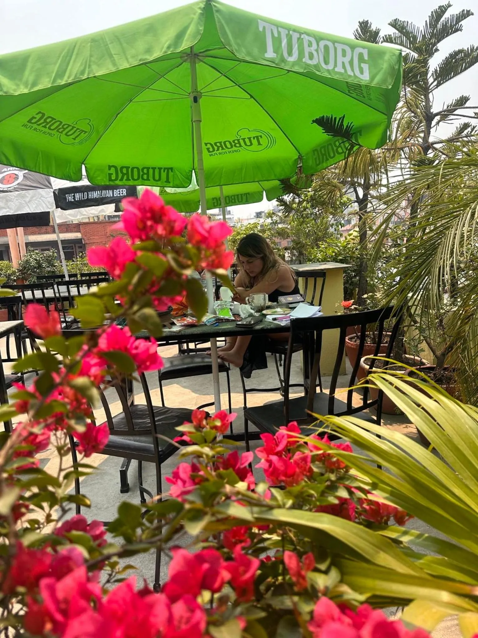 Garden view in Bag Packer's Lodge