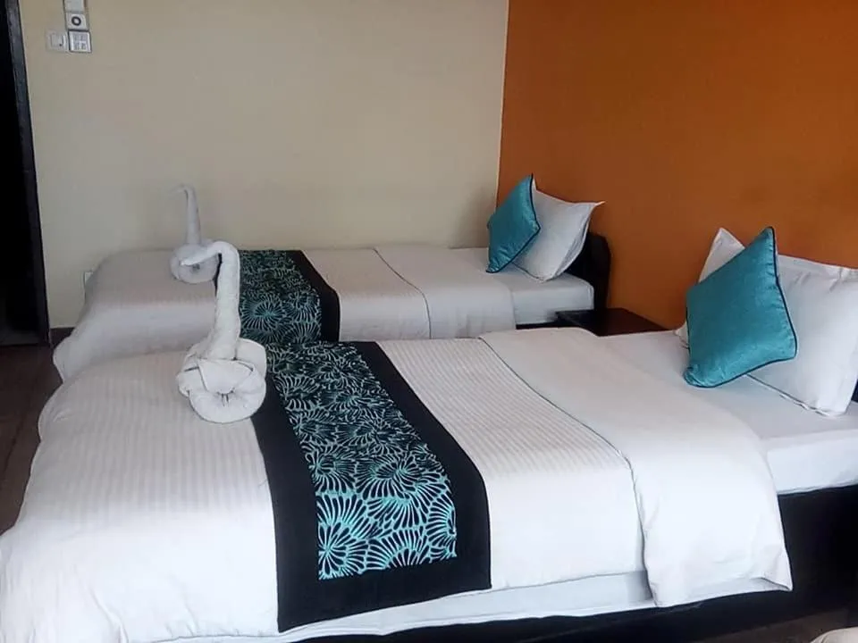 Photo of the whole room, Bed in Bag Packer's Lodge