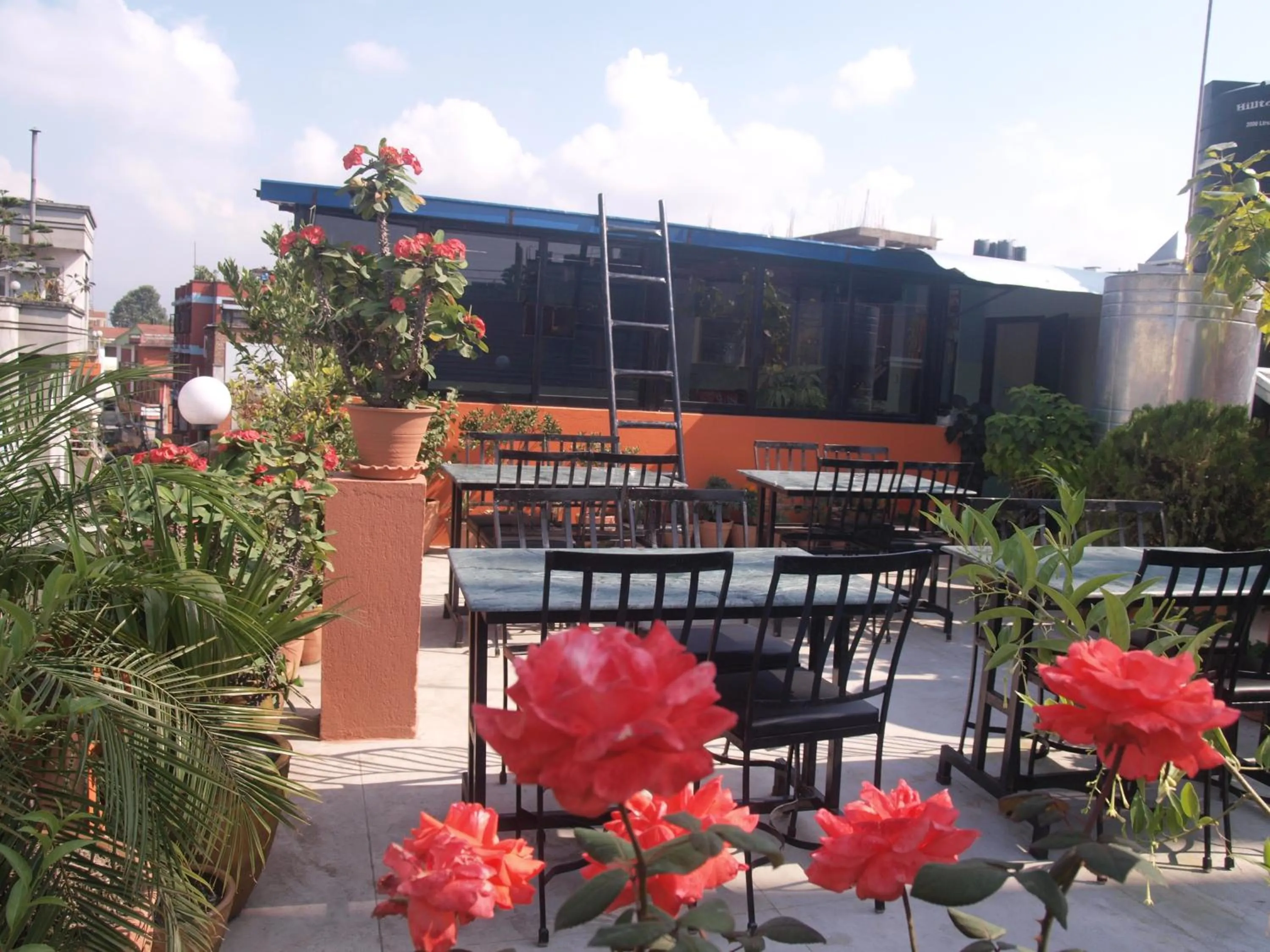 Balcony/Terrace in Bag Packer's Lodge