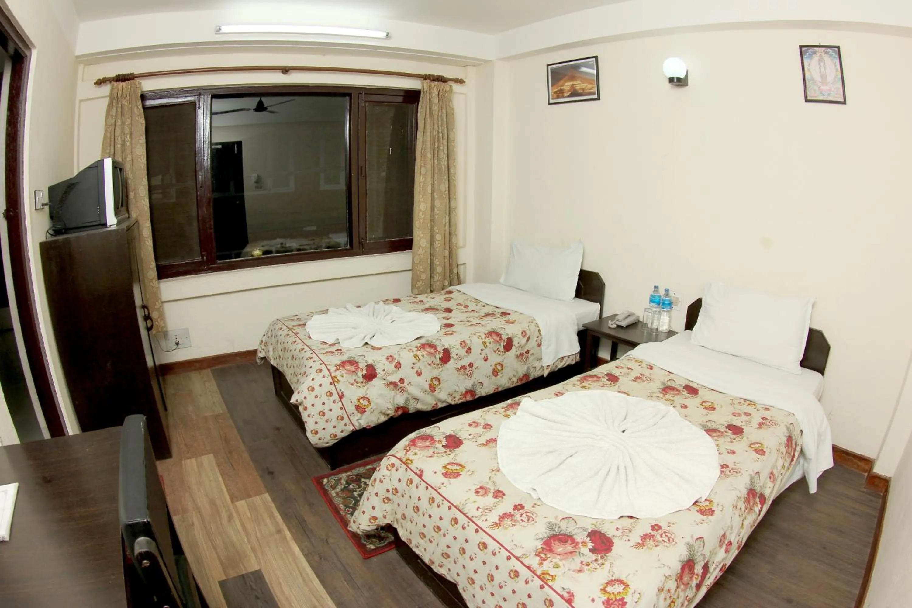 Photo of the whole room, Bed in Bag Packer's Lodge