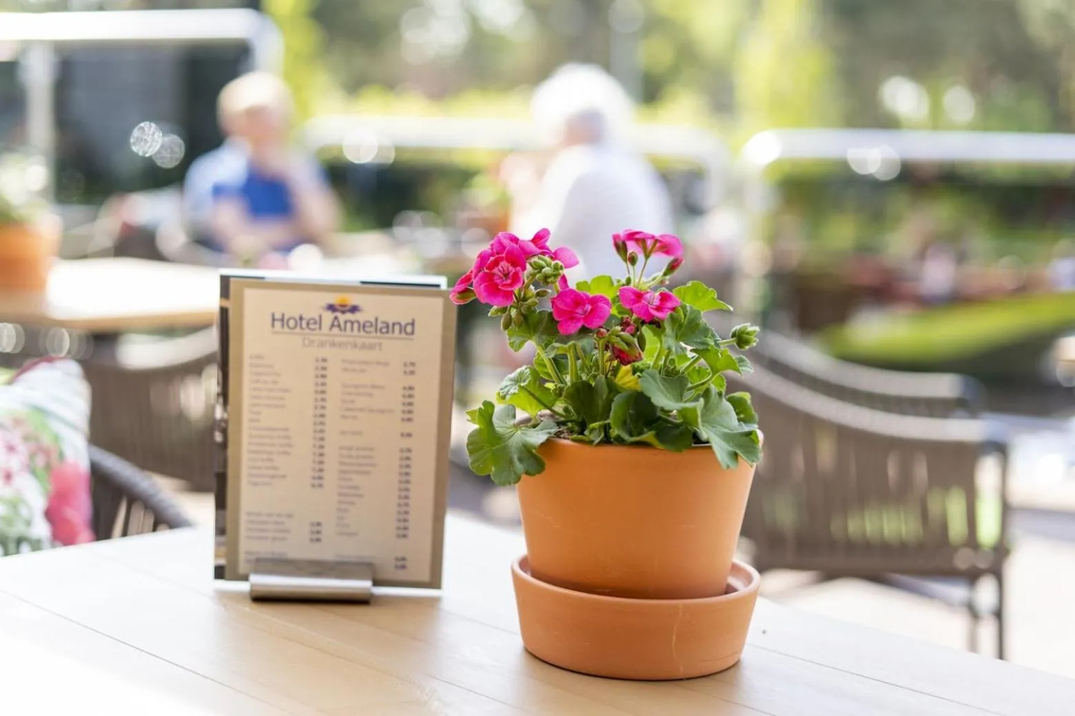 Balcony/Terrace in Hotel Ameland