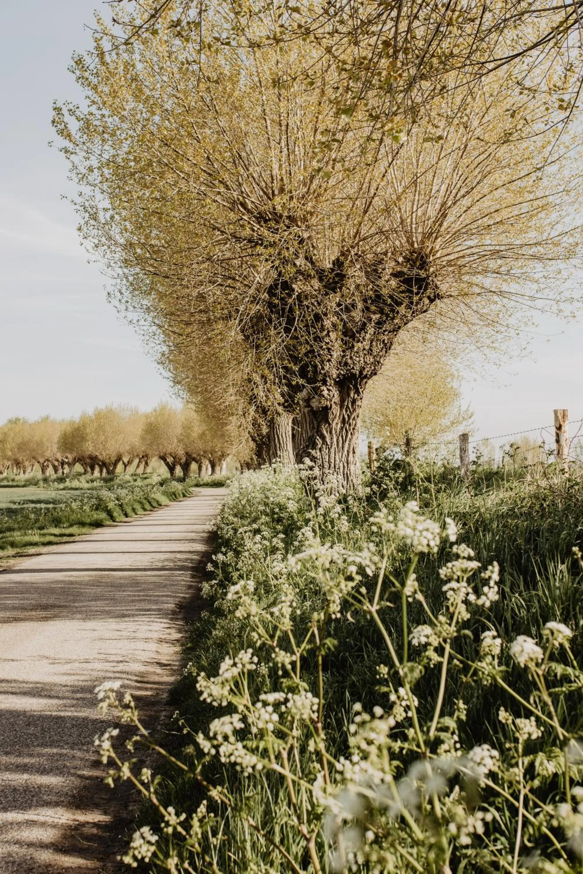 Neighbourhood in Stil 1827