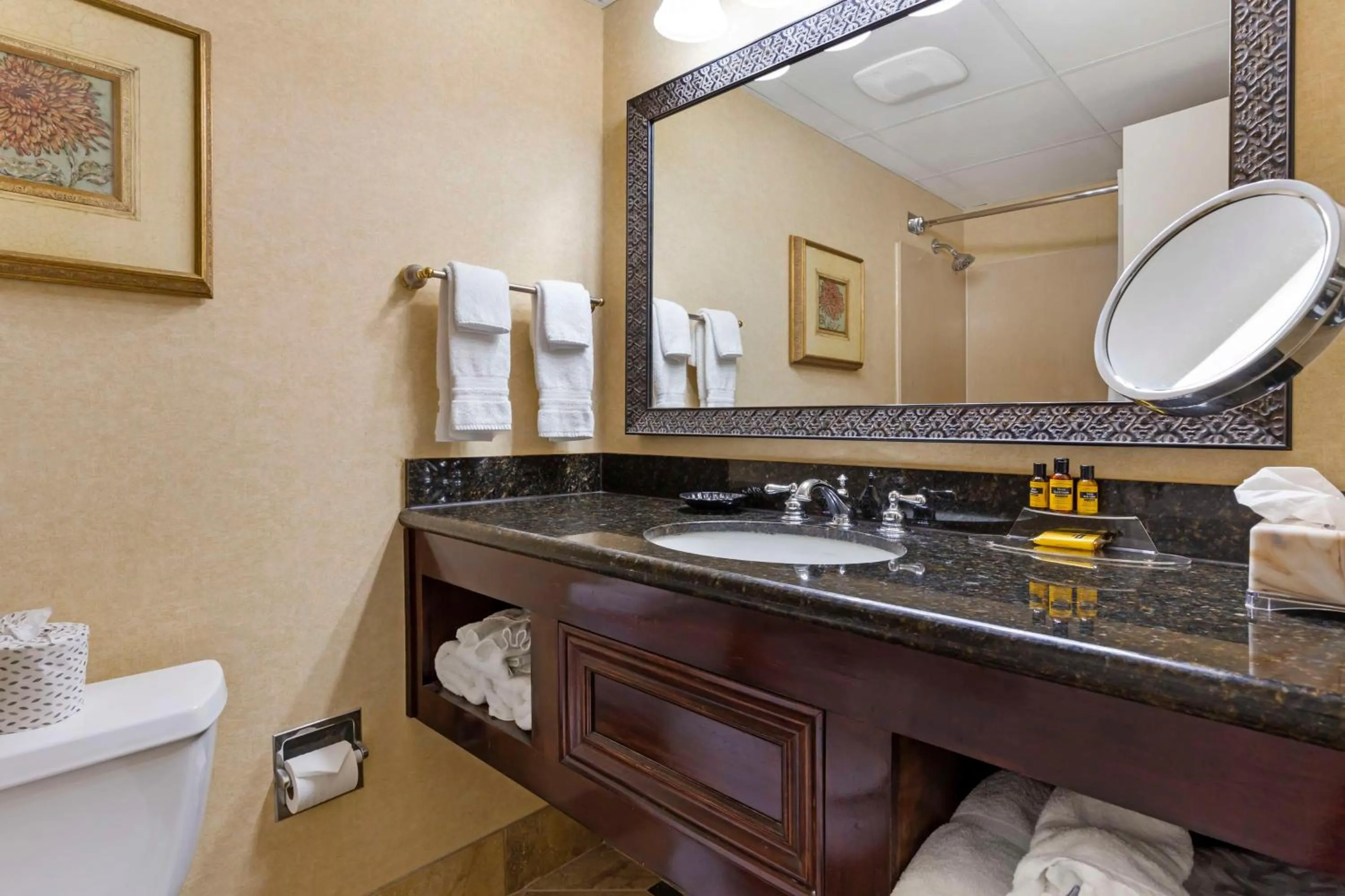 Bathroom in Best Western Plus Burlington