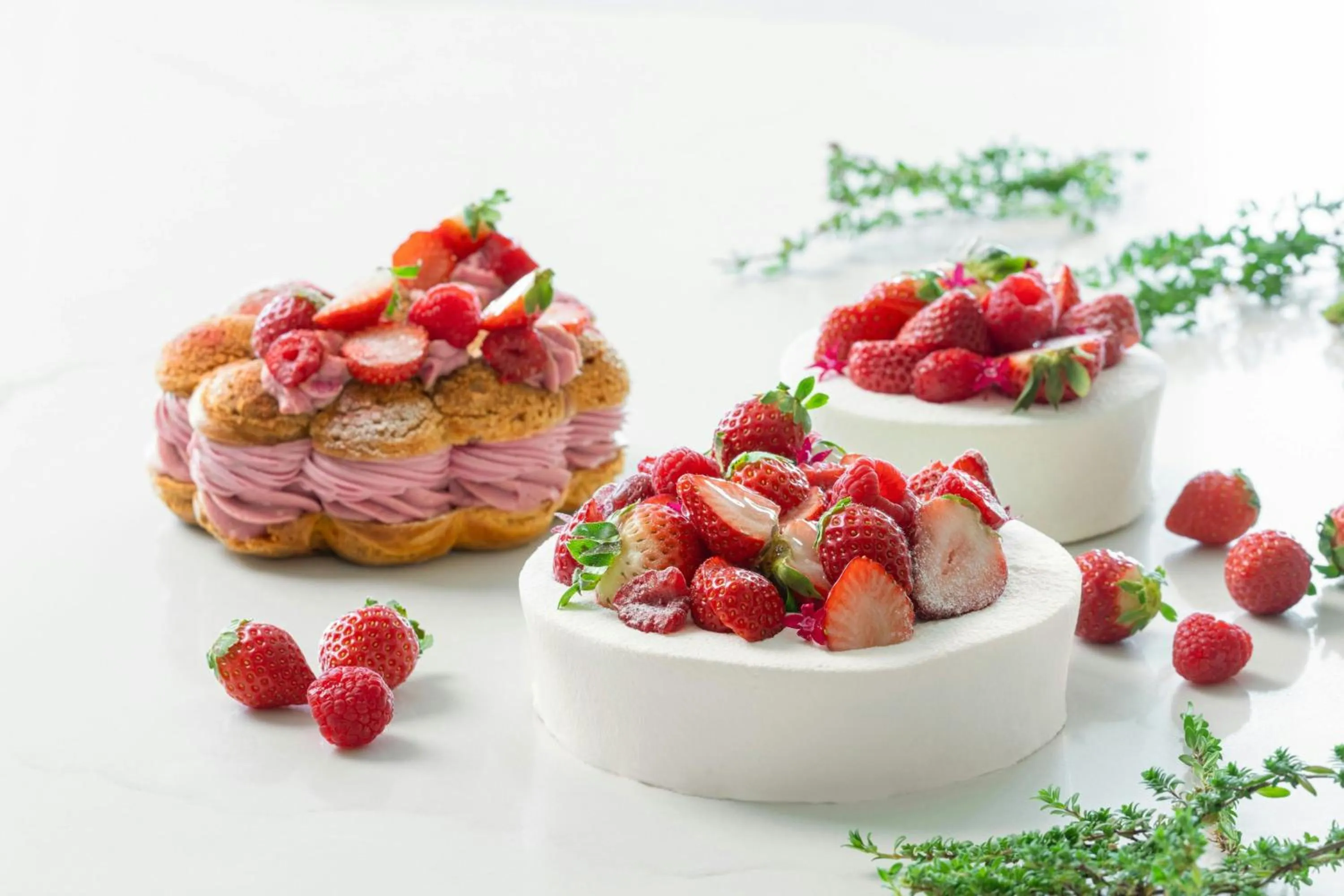 Restaurant/places to eat in Courtyard by Marriott Fukui