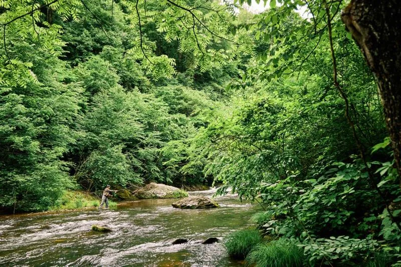 The Lodge at Primland, Auberge Collection