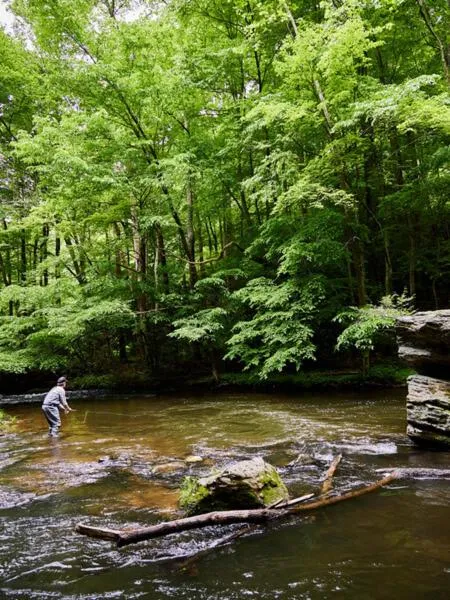 The Lodge at Primland, Auberge Collection