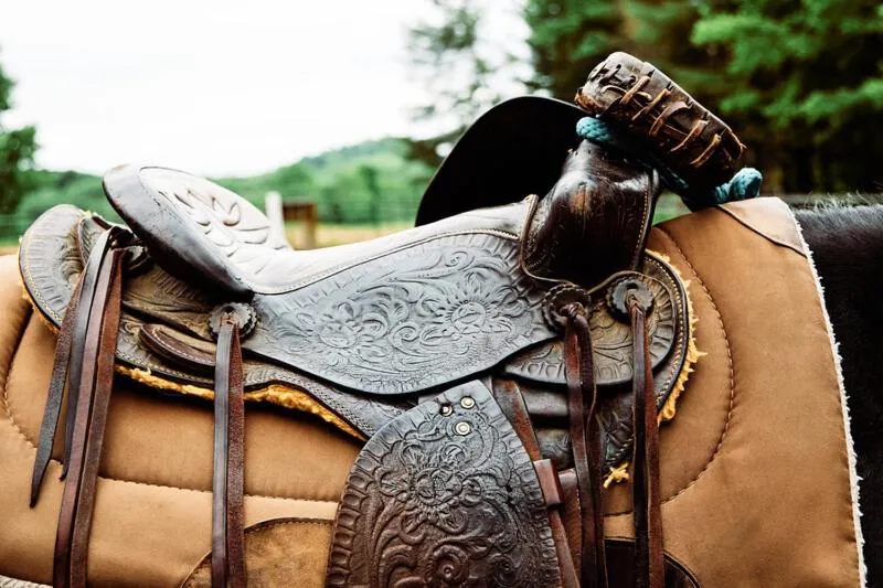 The Lodge at Primland, Auberge Collection