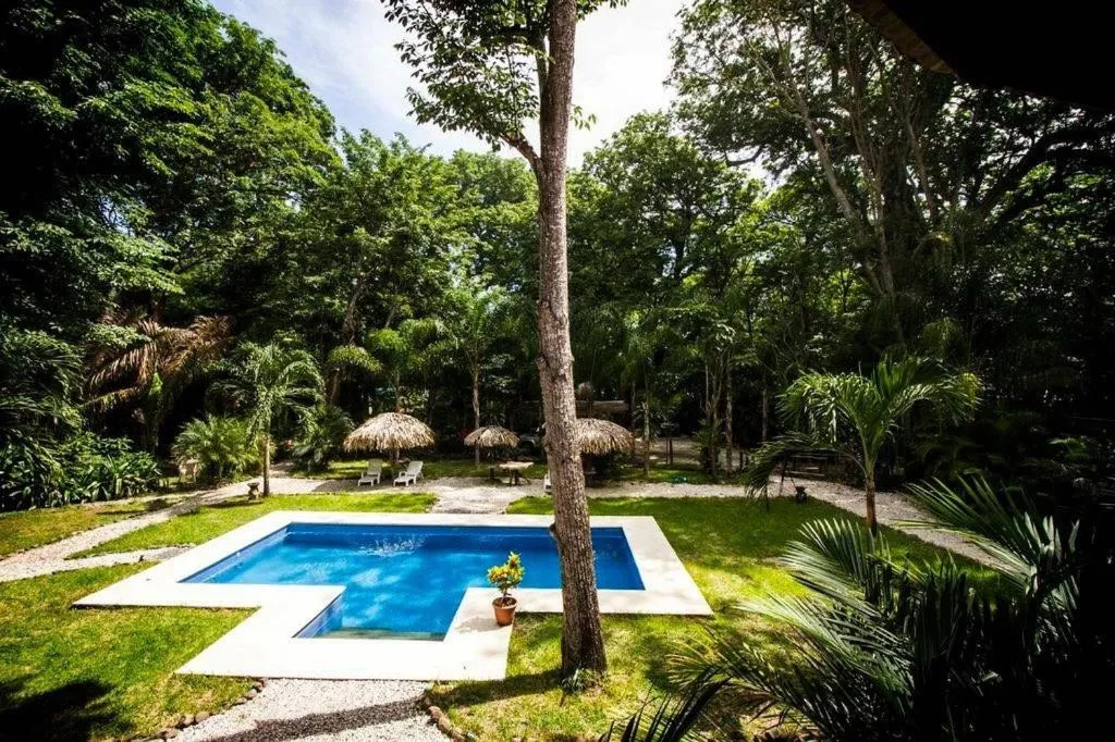 Garden in Pacifica Surf Studios