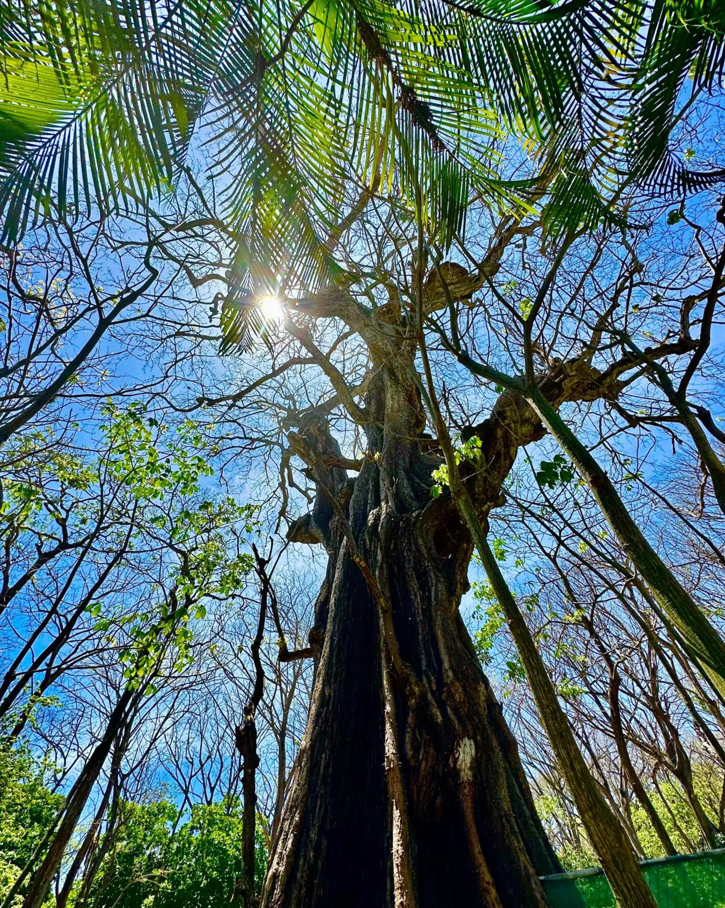 Pacifica Surf Studios