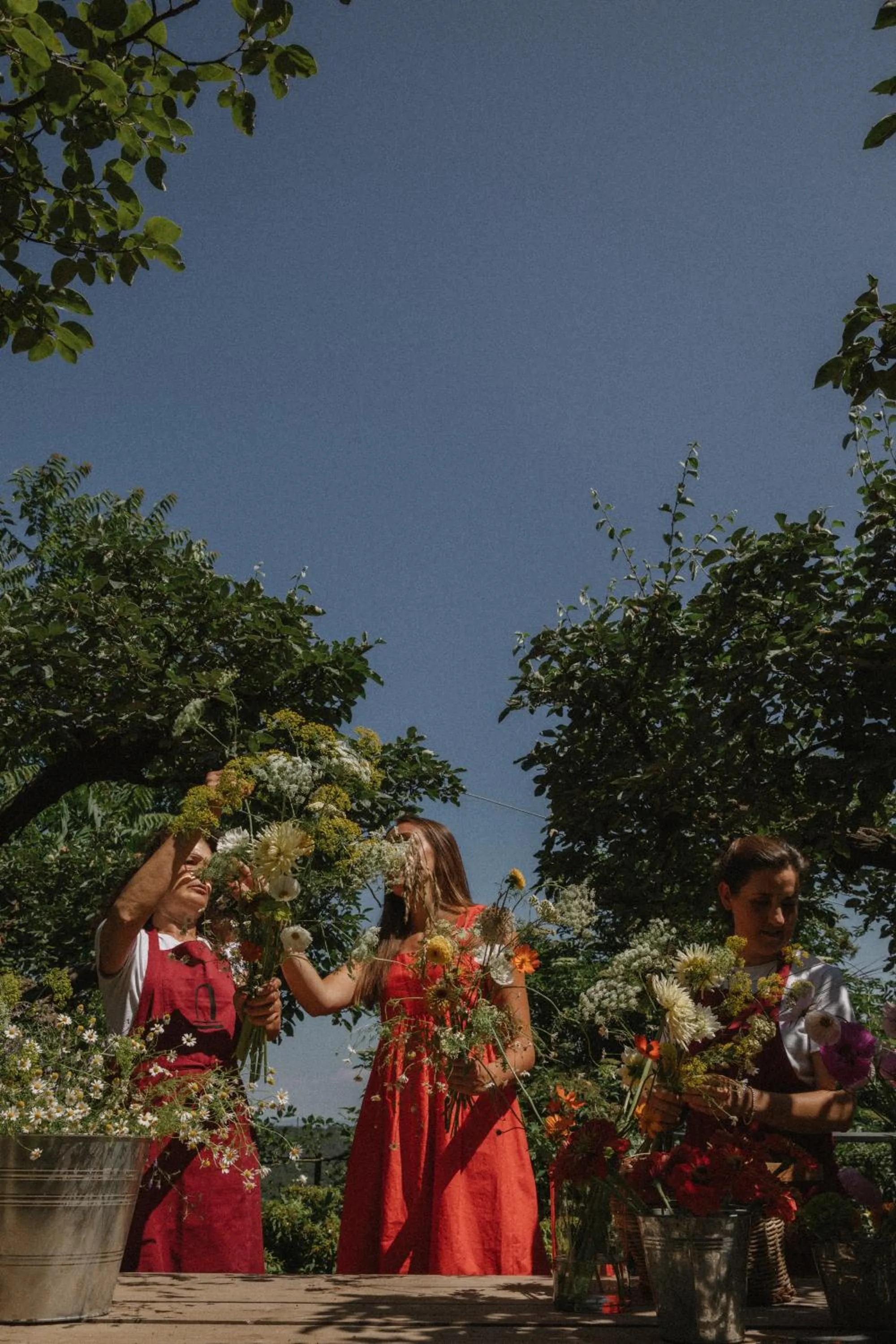 Activities in Monteverdi Tuscany