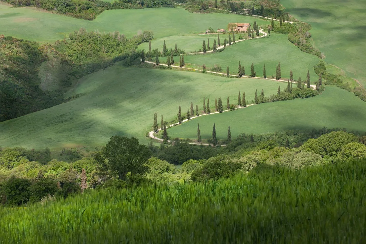 Natural landscape in Monteverdi Tuscany