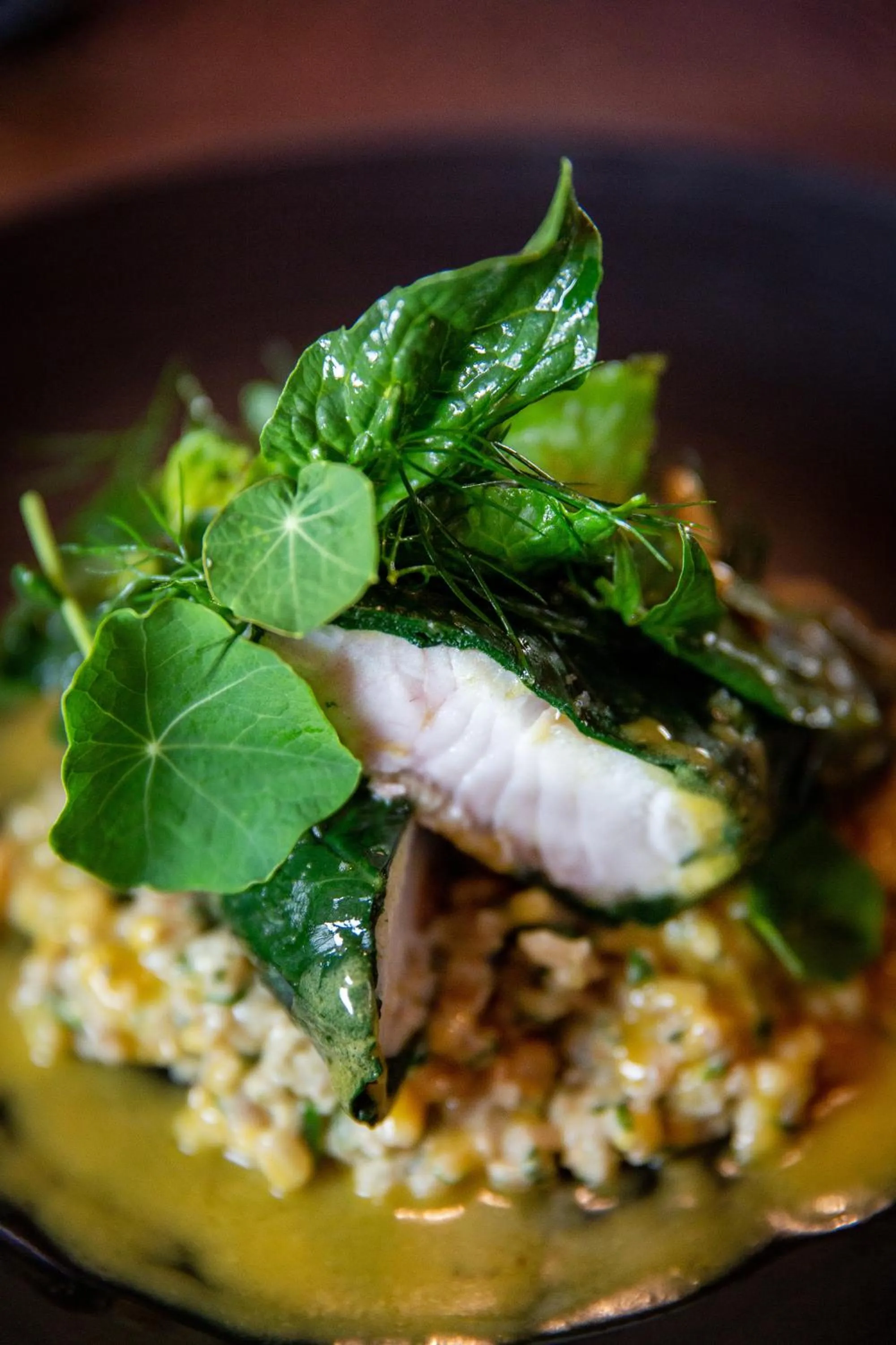 Food close-up in Hapuku Lodge & Tree Houses