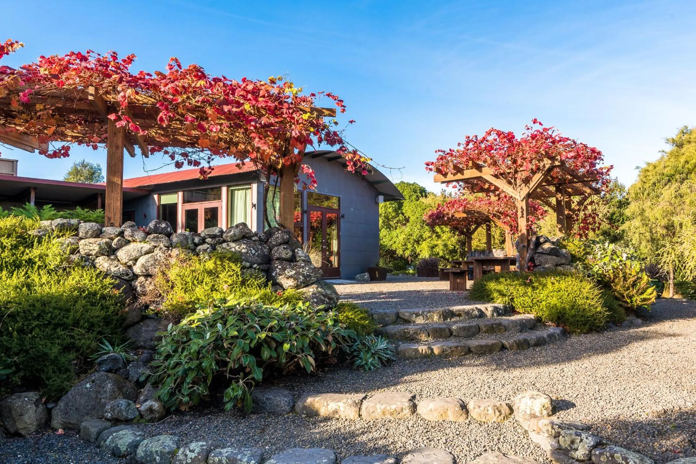 Hapuku Lodge & Tree Houses