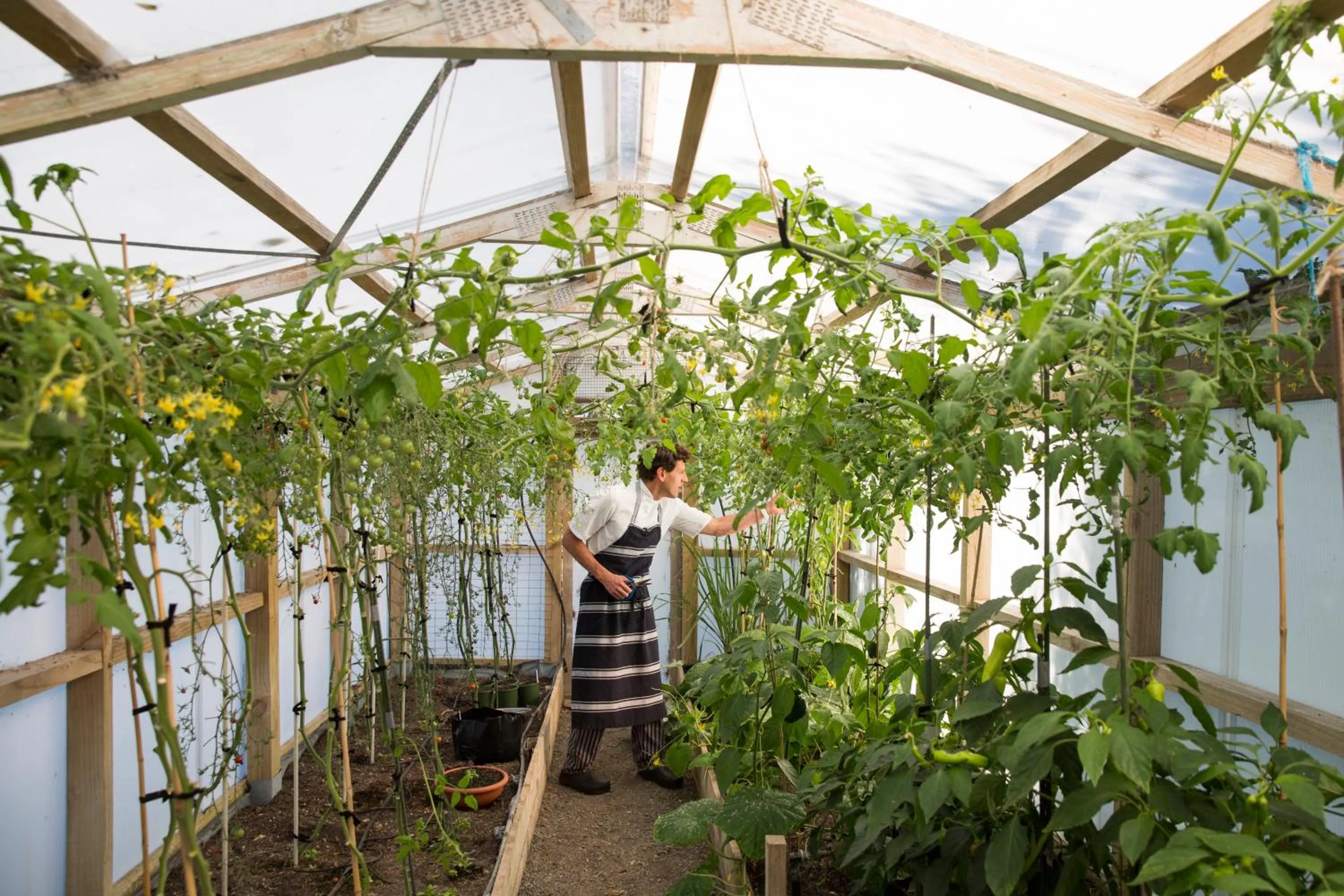 Garden in Hapuku Lodge & Tree Houses