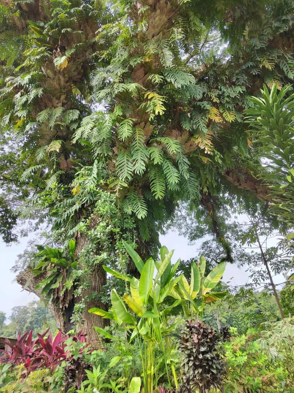 Balai Serama Guesthouse