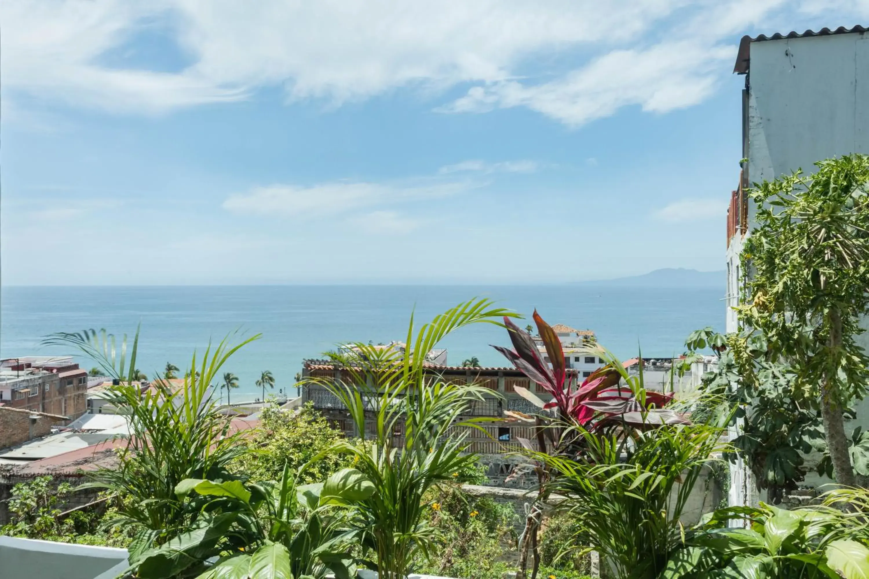 King Suite in Casa Nawalli Puerto Vallarta Boutique Hotel - Adults Only King Suite in Casa Nawalli Puerto Vallarta Boutique Hotel - Adults Only