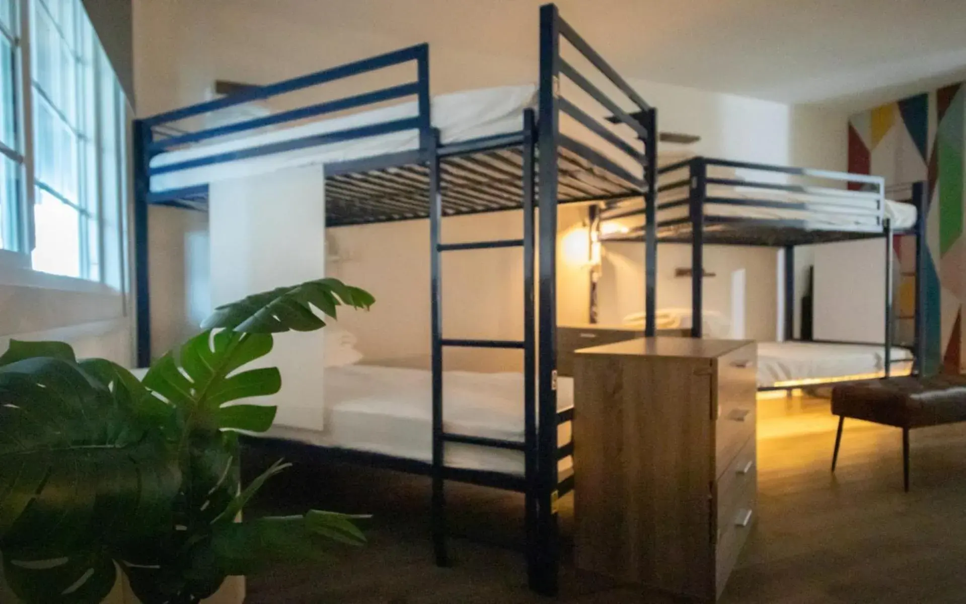 Bed in 6-Bed Female Dormitory Room in Bposhtels Orlando Disney Bed in 6-Bed Female Dormitory Room in Bposhtels Orlando Disney