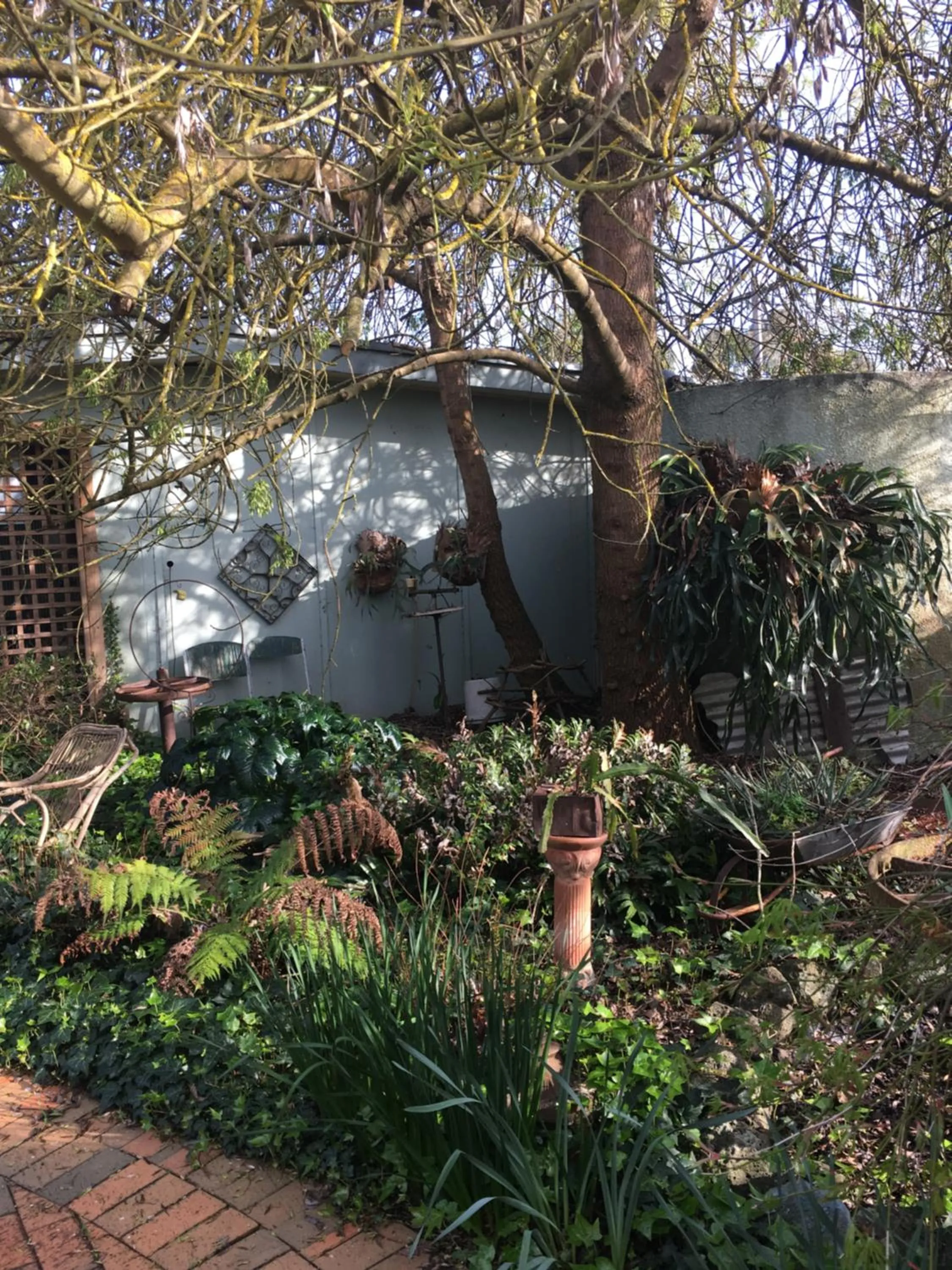 Natural landscape in Butlers Guesthouse