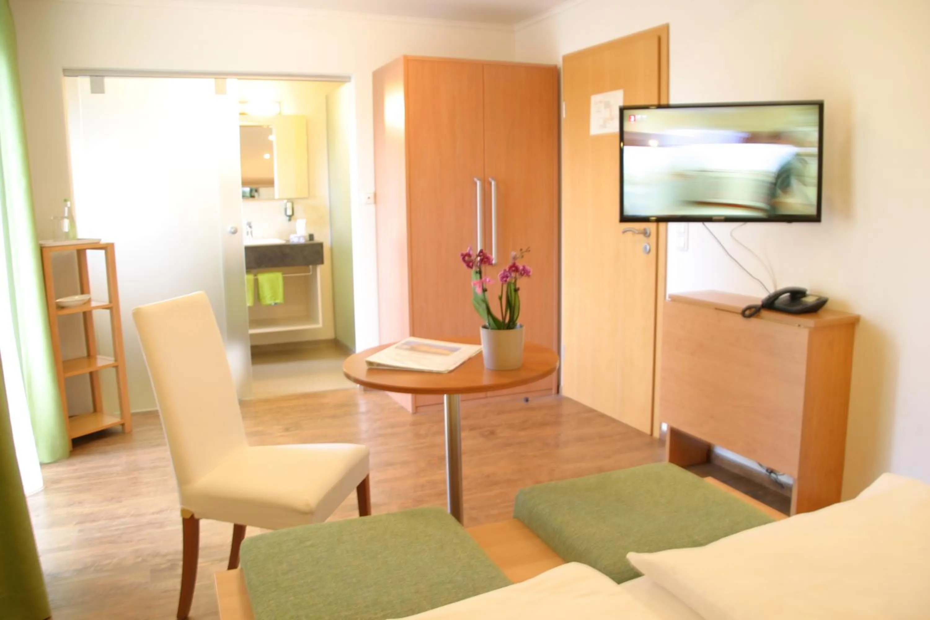 TV and multimedia in Hotel-Restaurant Bellevue