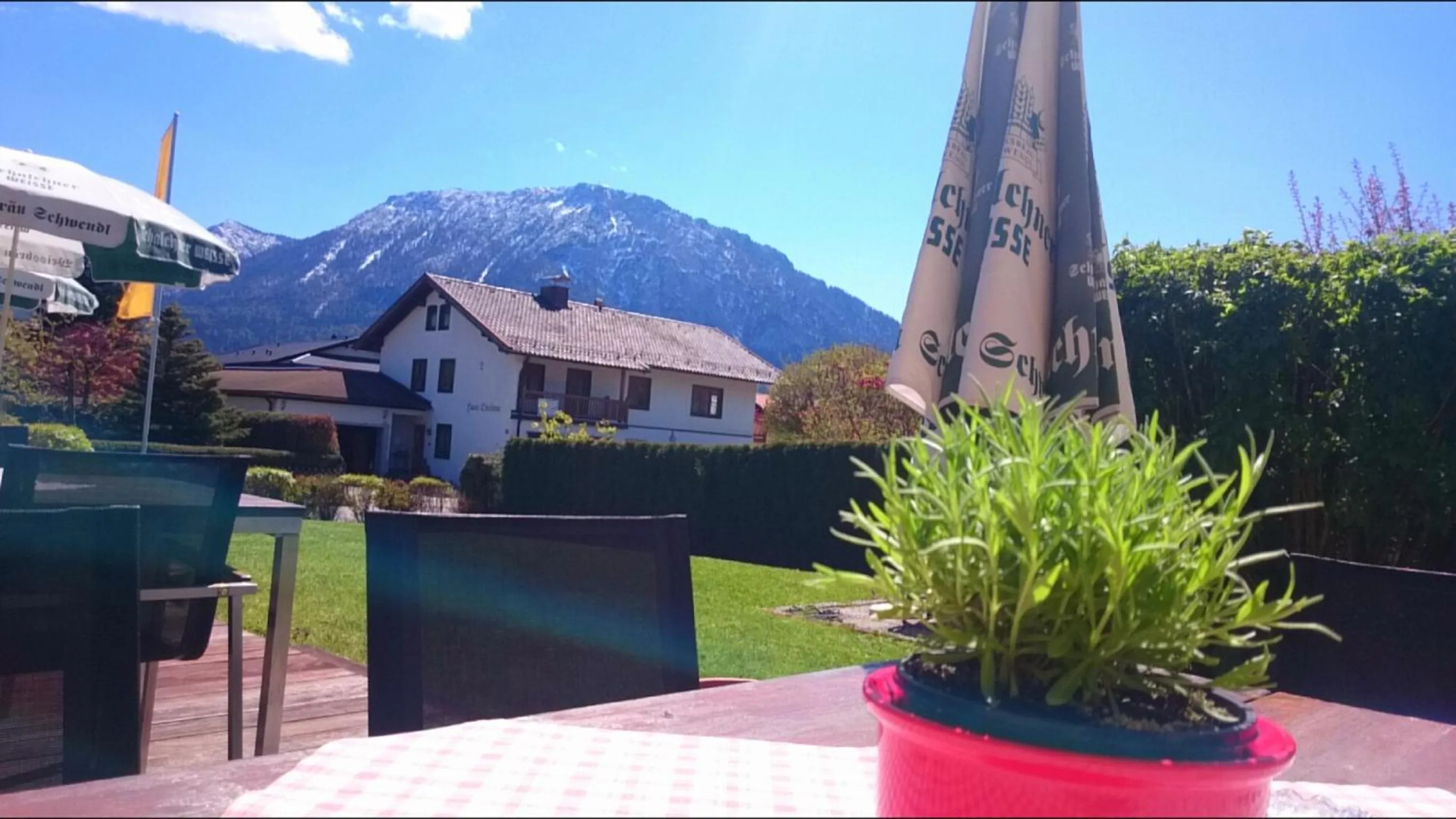 Restaurant/places to eat in Hotel-Restaurant Bellevue