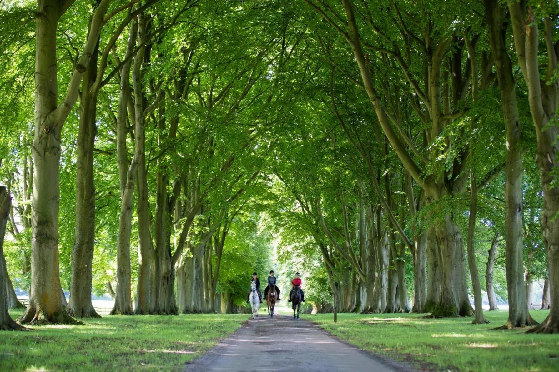 Horse-riding in Lucknam Park, Emblems Collection
