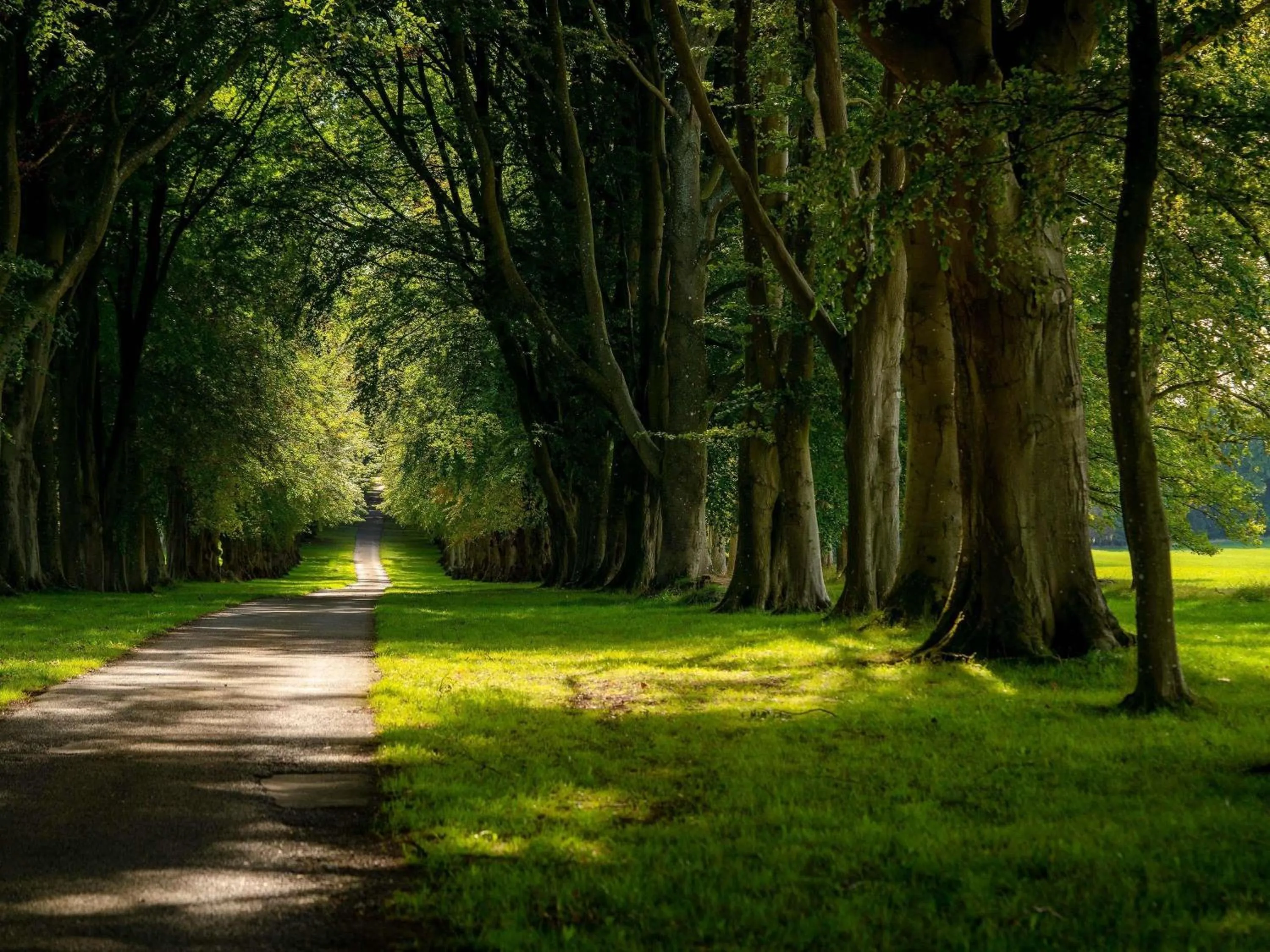 Property building in Lucknam Park, Emblems Collection