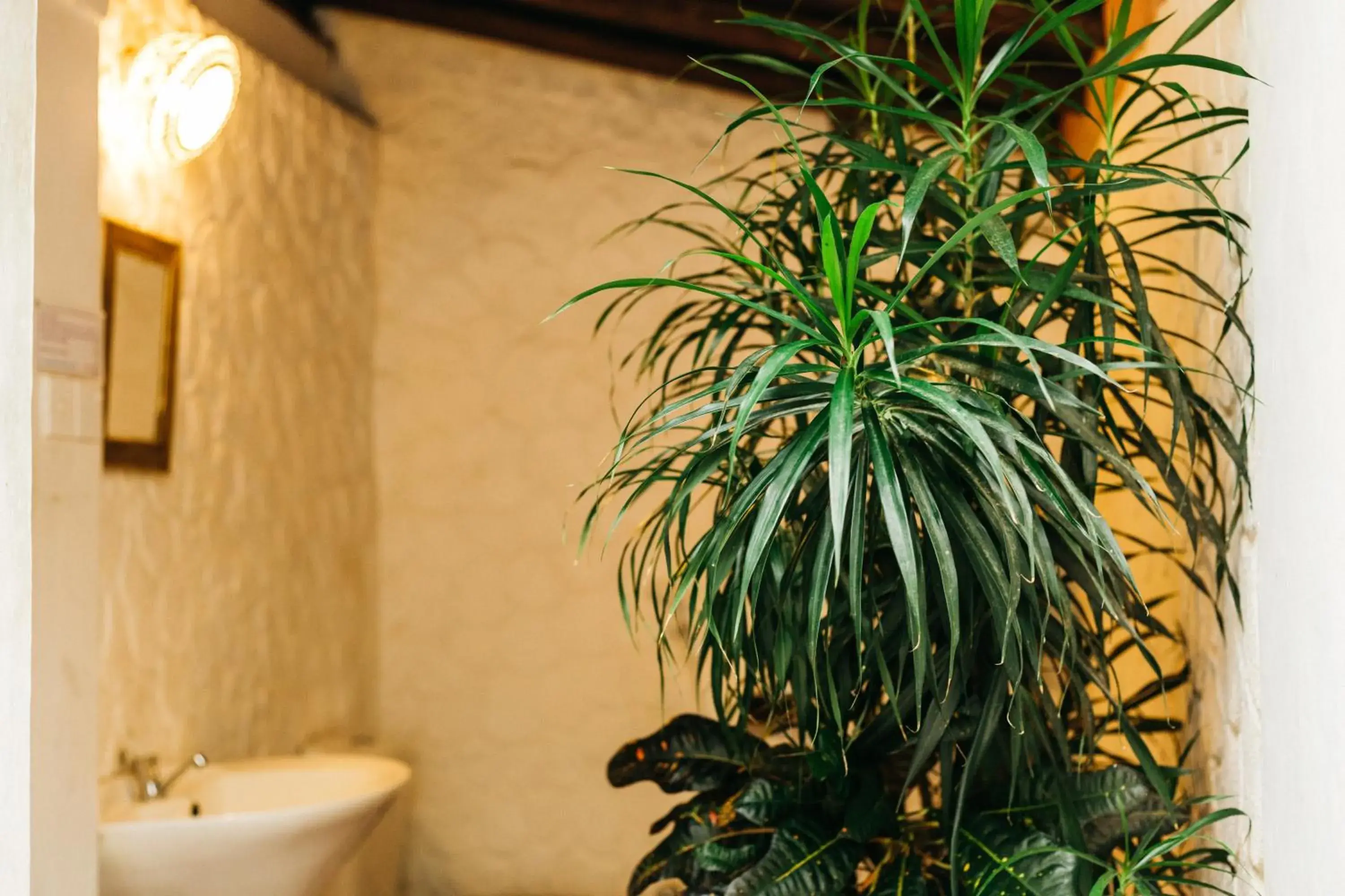 Bathroom in Secret Garden Villa - Unawatuna Bathroom in Secret Garden Villa - Unawatuna