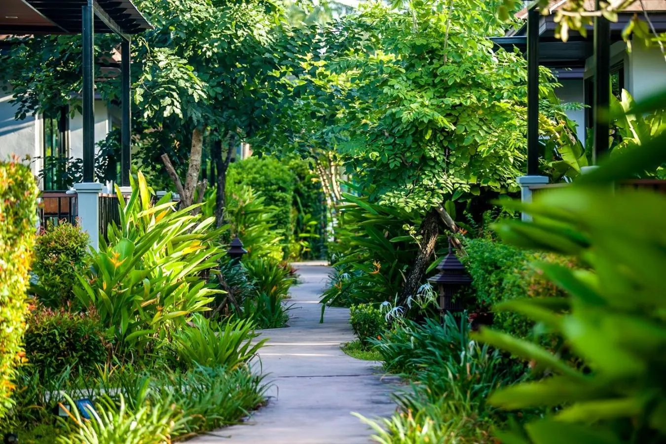 Natural landscape in Himaphan Boutique Resort - SHA EXTRA PLUS