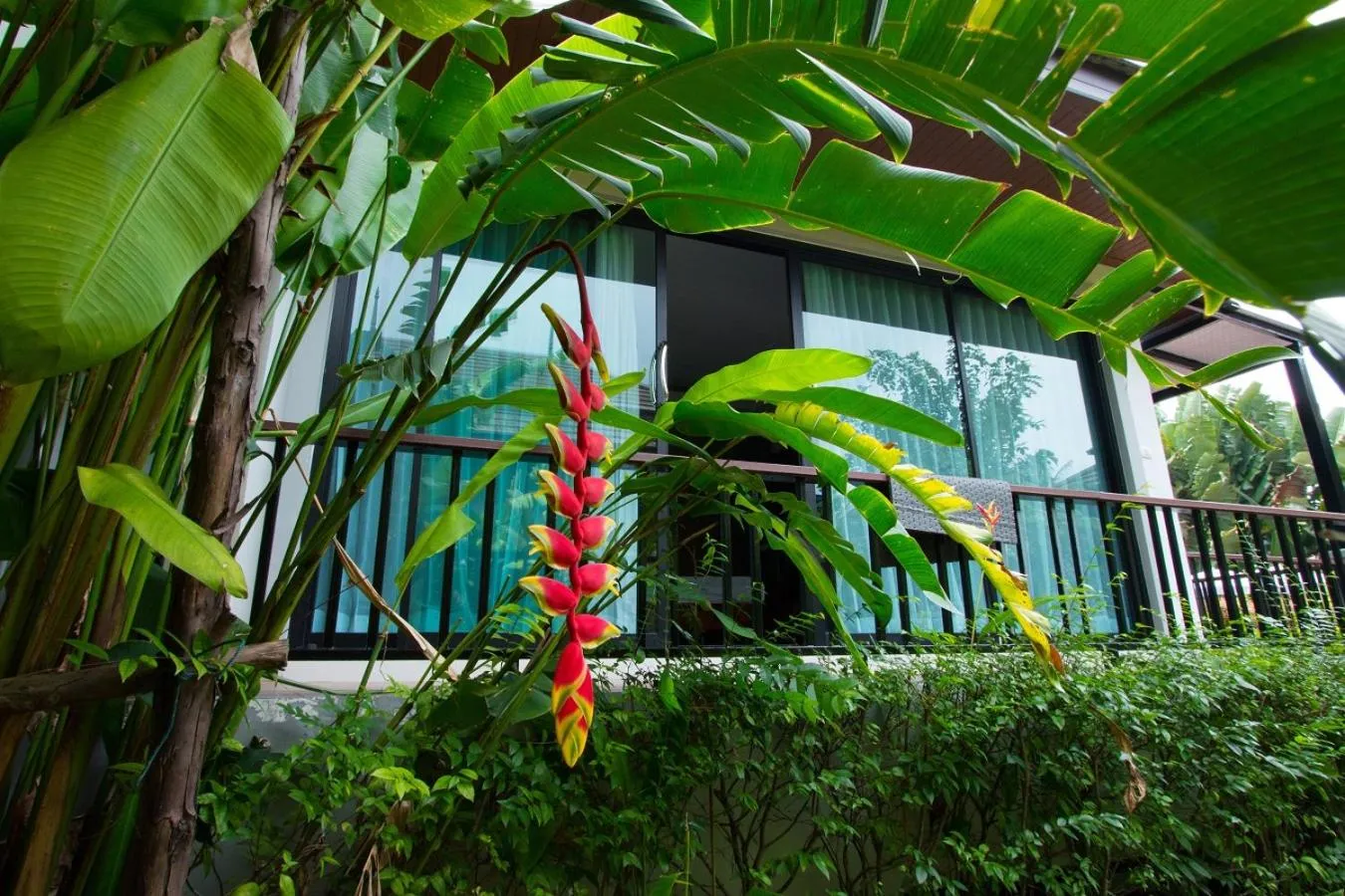 View (from property/room) in Himaphan Boutique Resort - SHA EXTRA PLUS