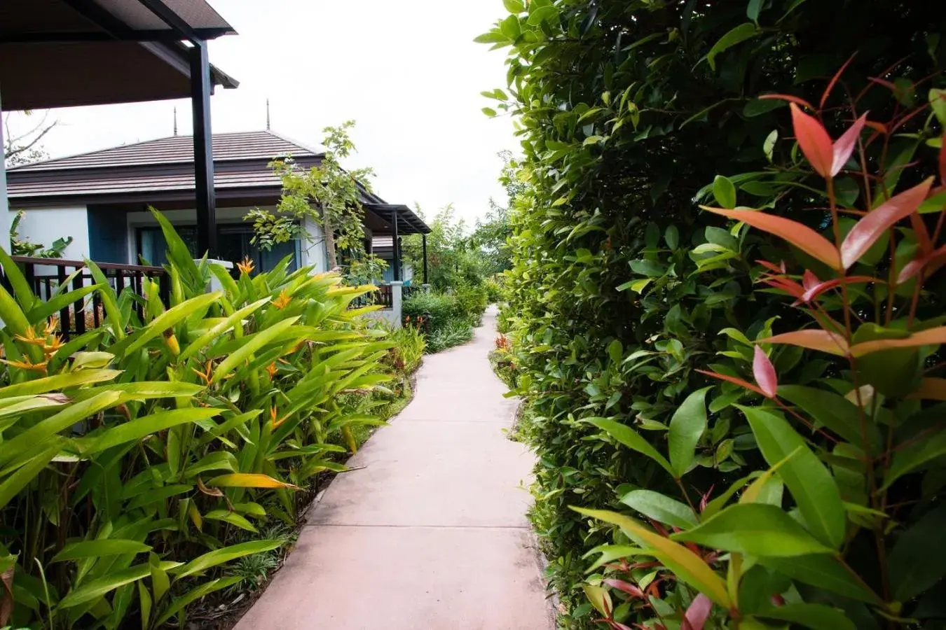 Inner courtyard view in Himaphan Boutique Resort - SHA EXTRA PLUS Inner courtyard view in Himaphan Boutique Resort - SHA EXTRA PLUS