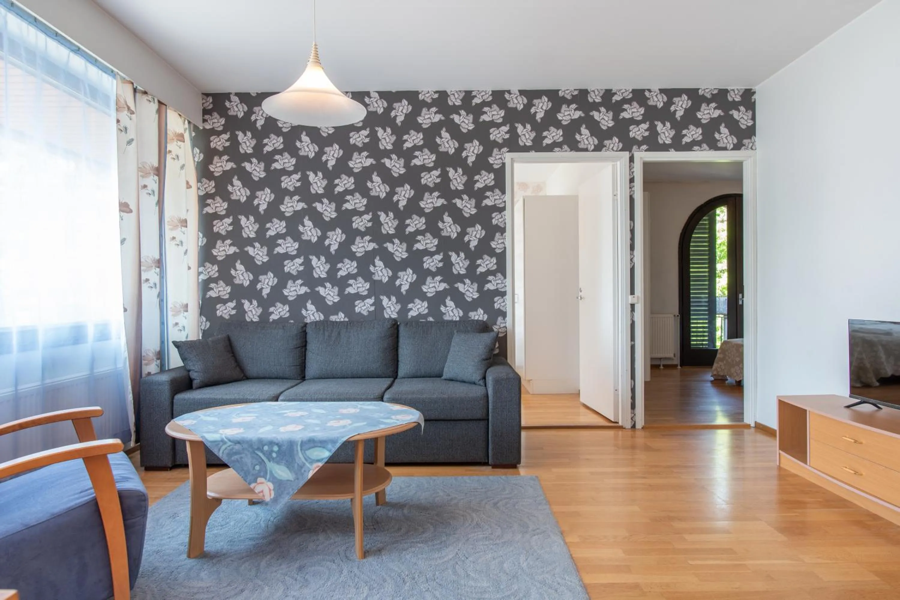 TV and multimedia in Villa Andropoff