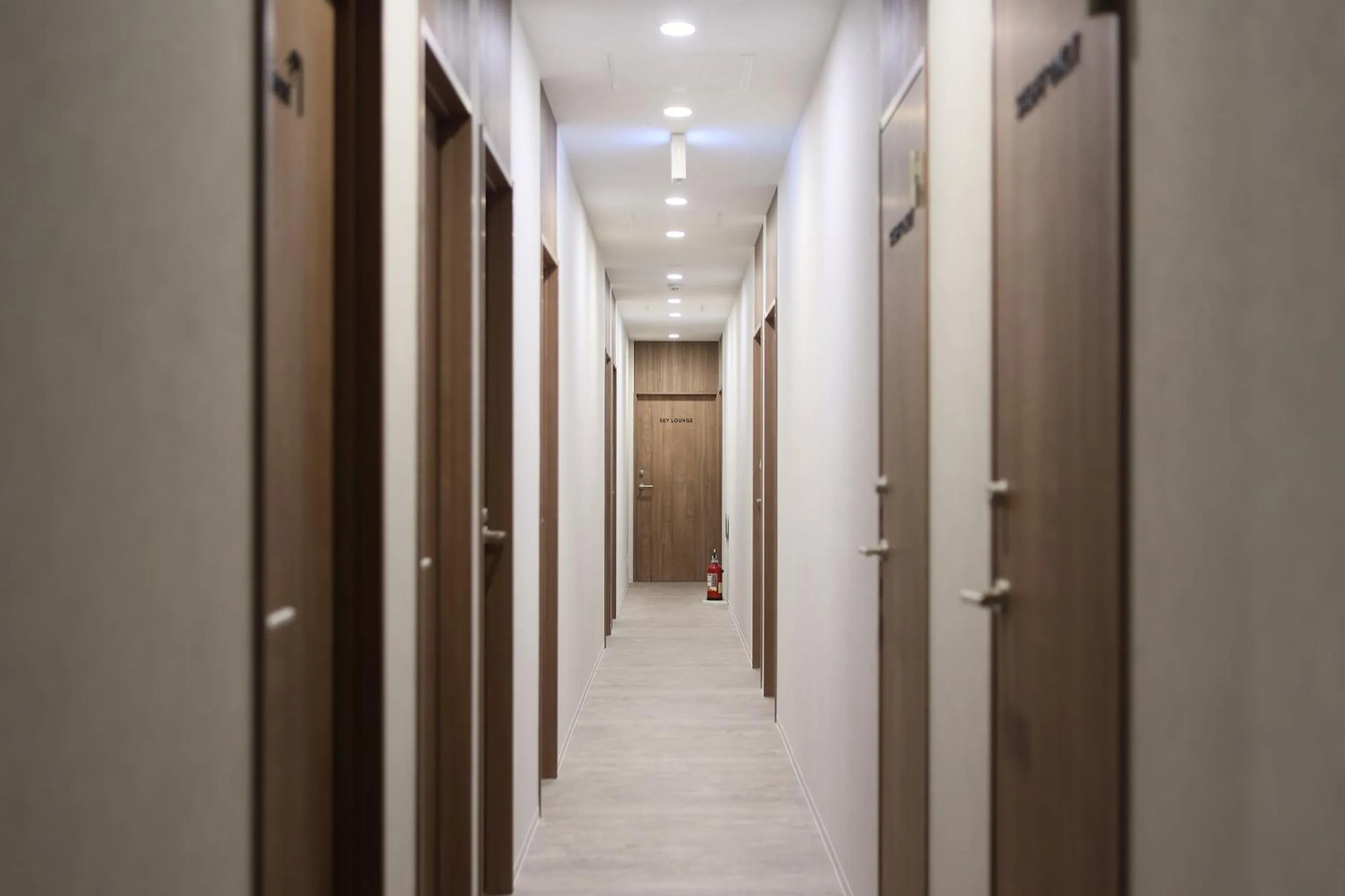 Photo of the whole room in OHWA hostel minowa station