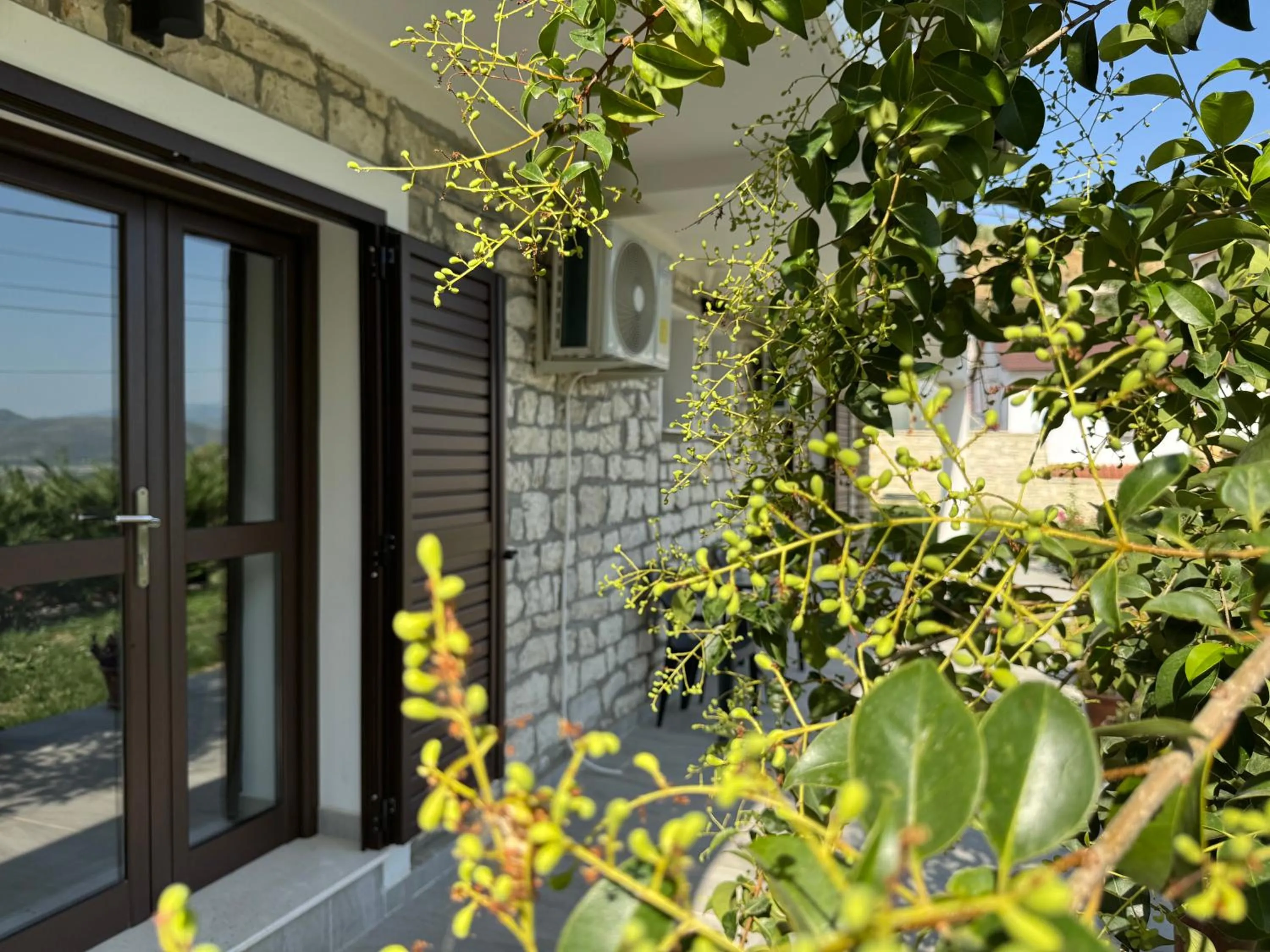 Property building in Te Gjyshi