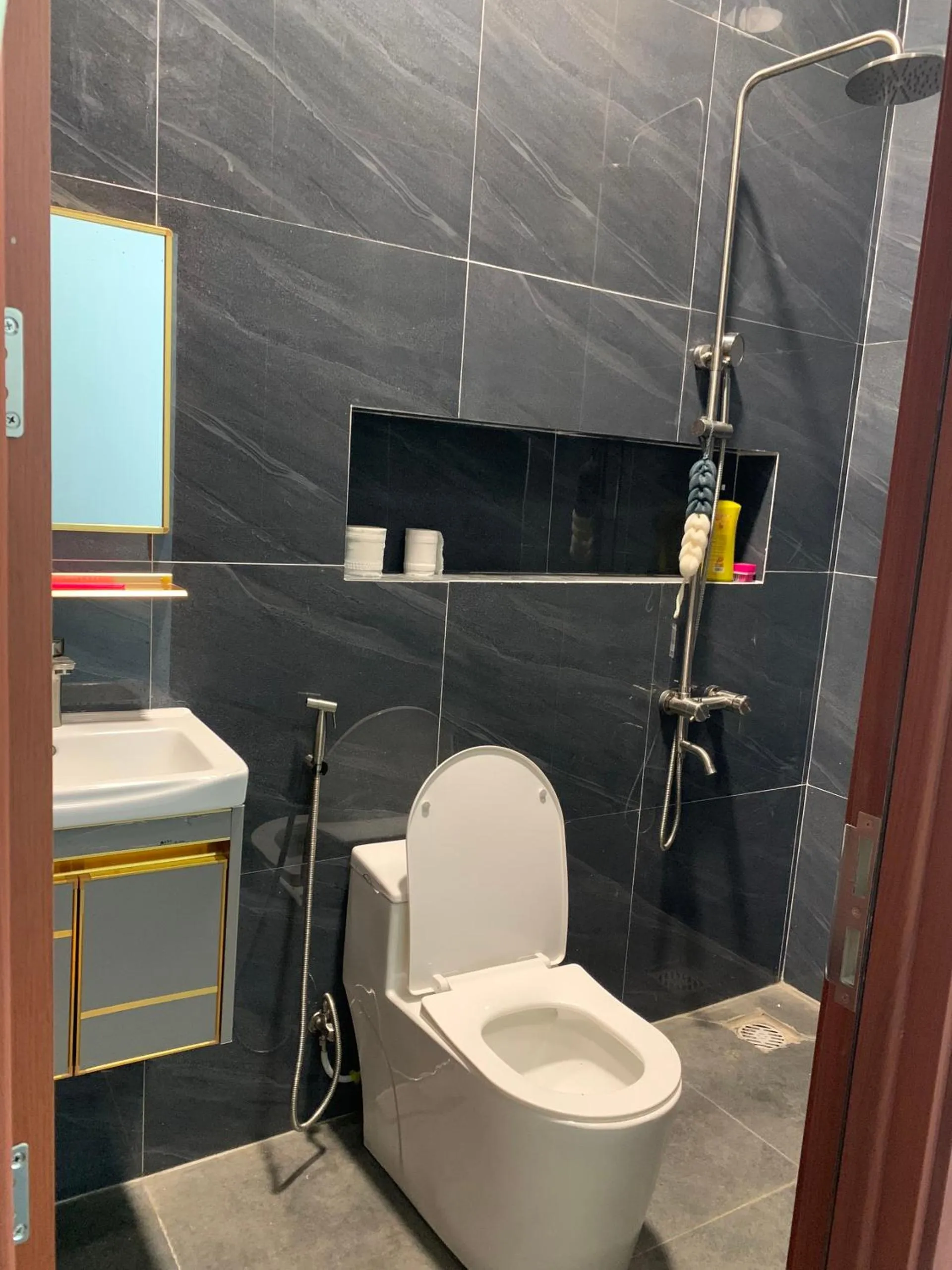 Toilet in Pin's House