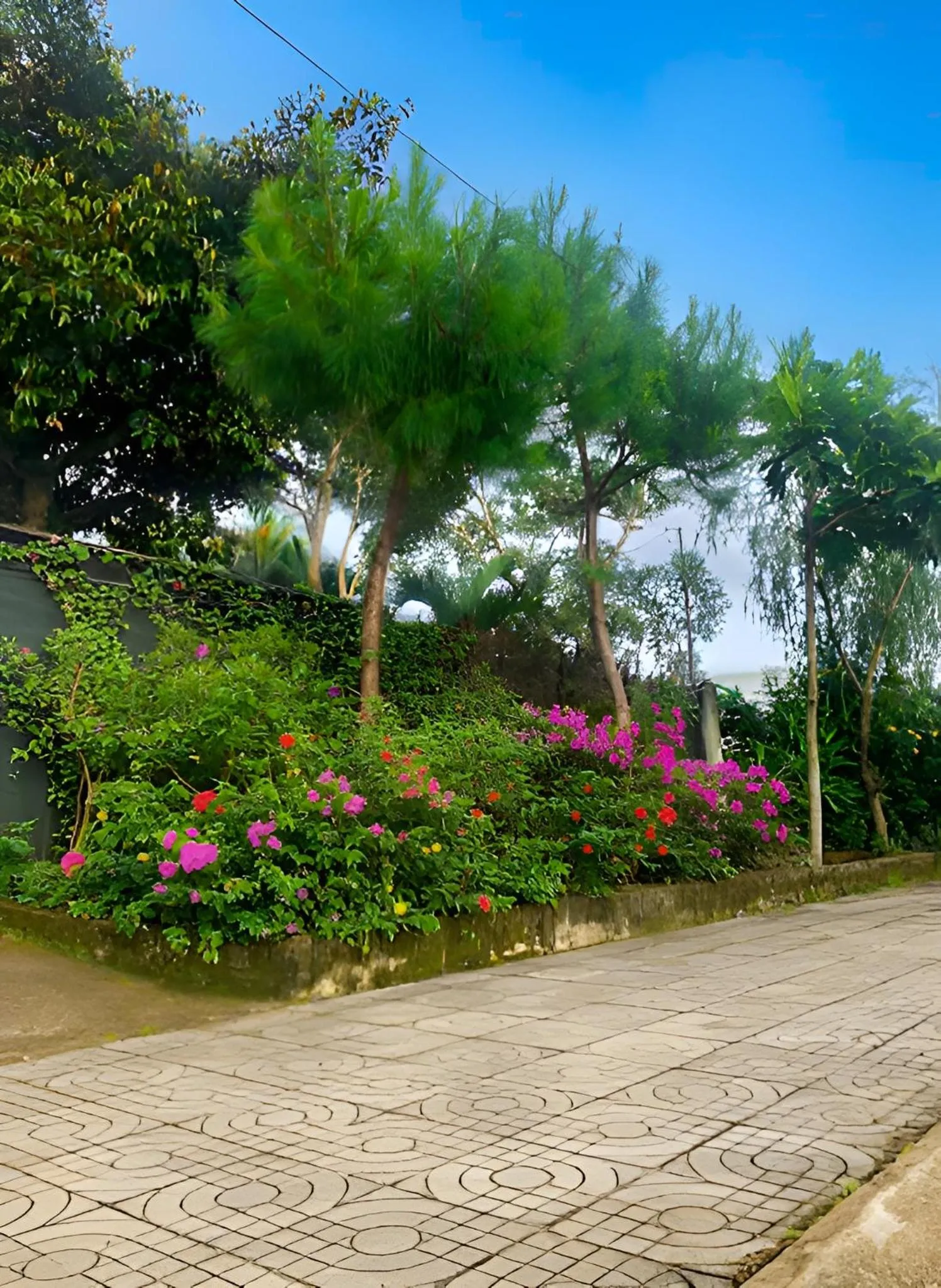 Off site in Pin's House