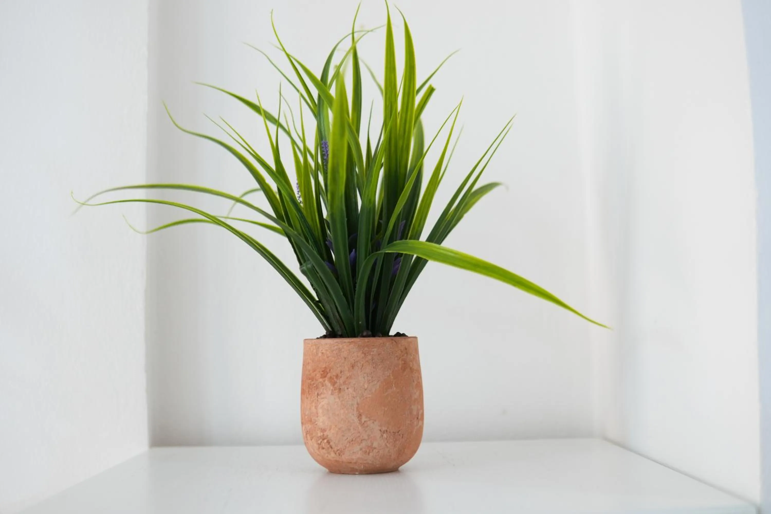 Decorative detail in Saranda Waterside Apartments