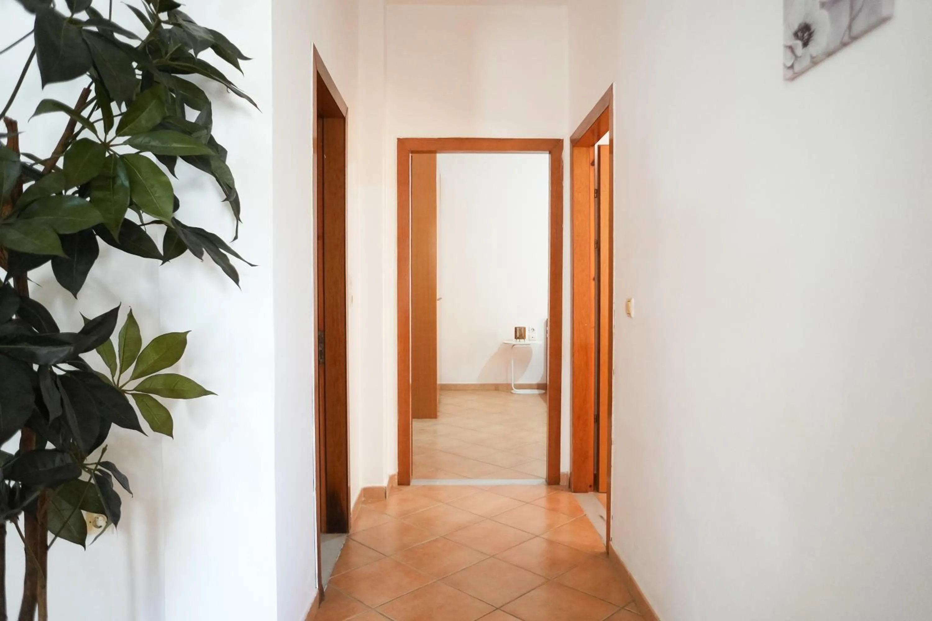 Property building in Saranda Waterside Apartments