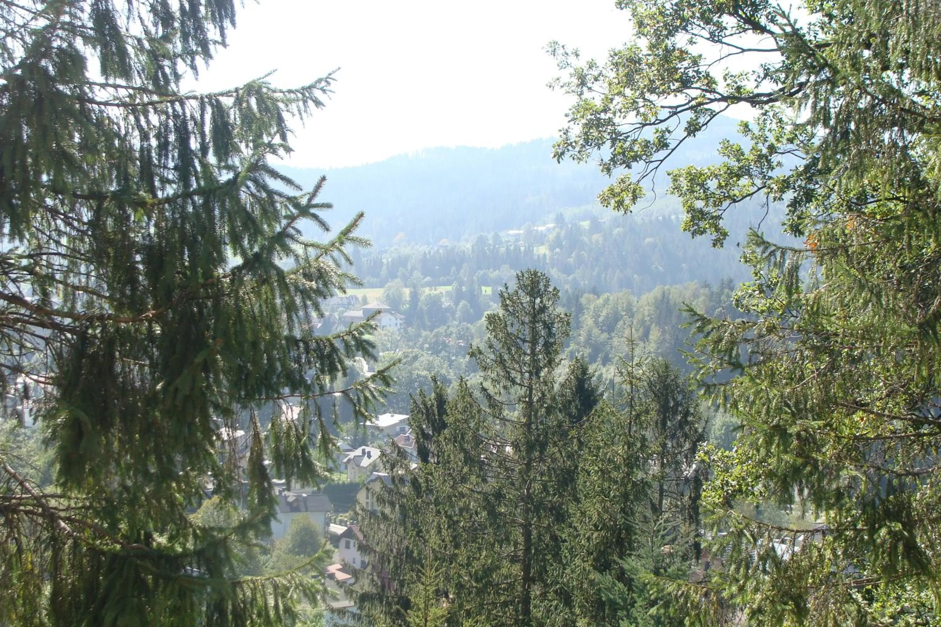 Summer in Willa Melisa