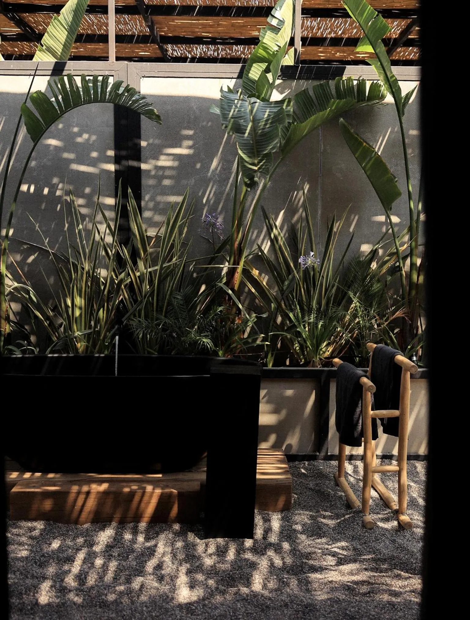 Garden in @before sunset