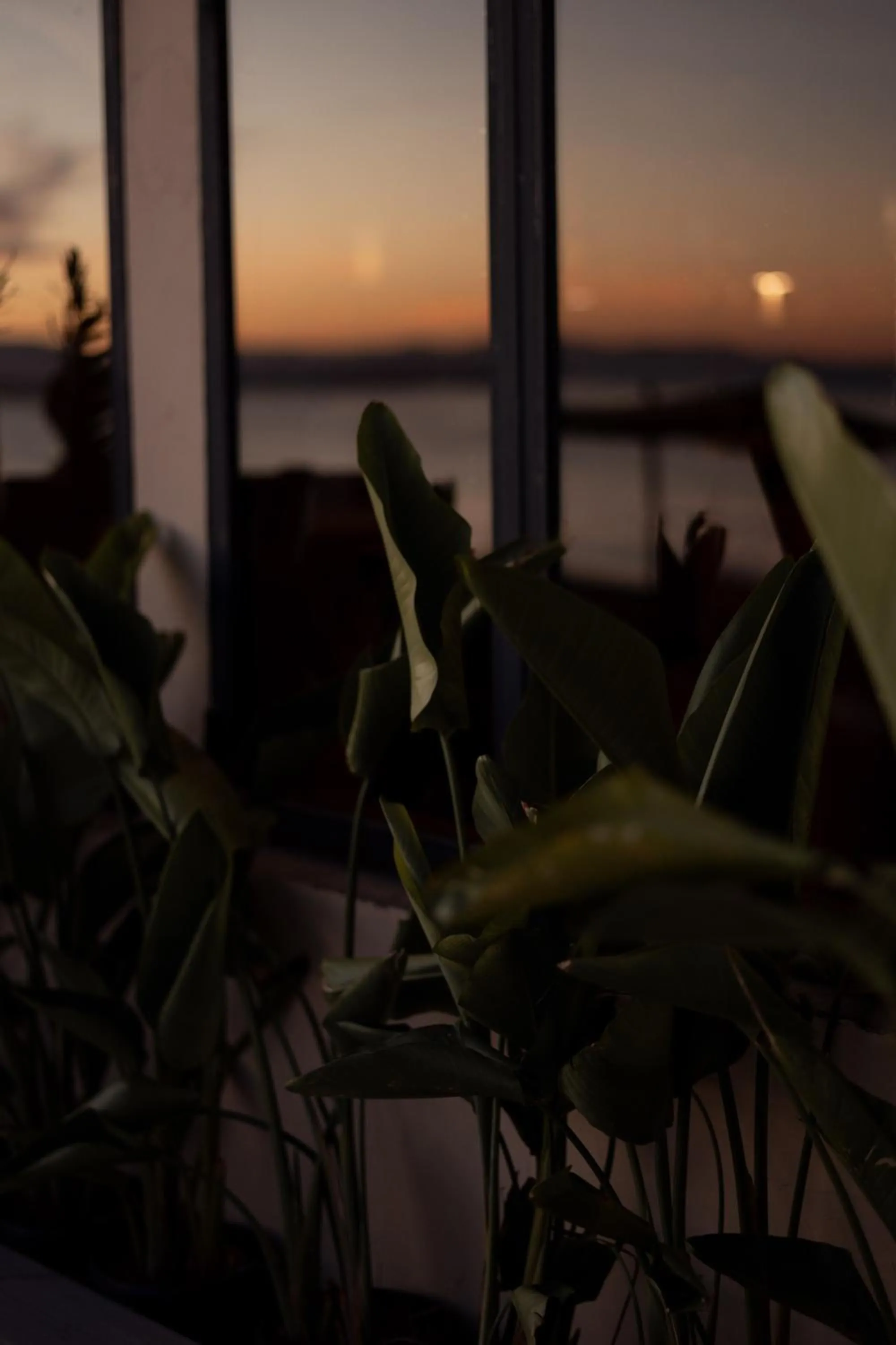 Sunset in @before sunset