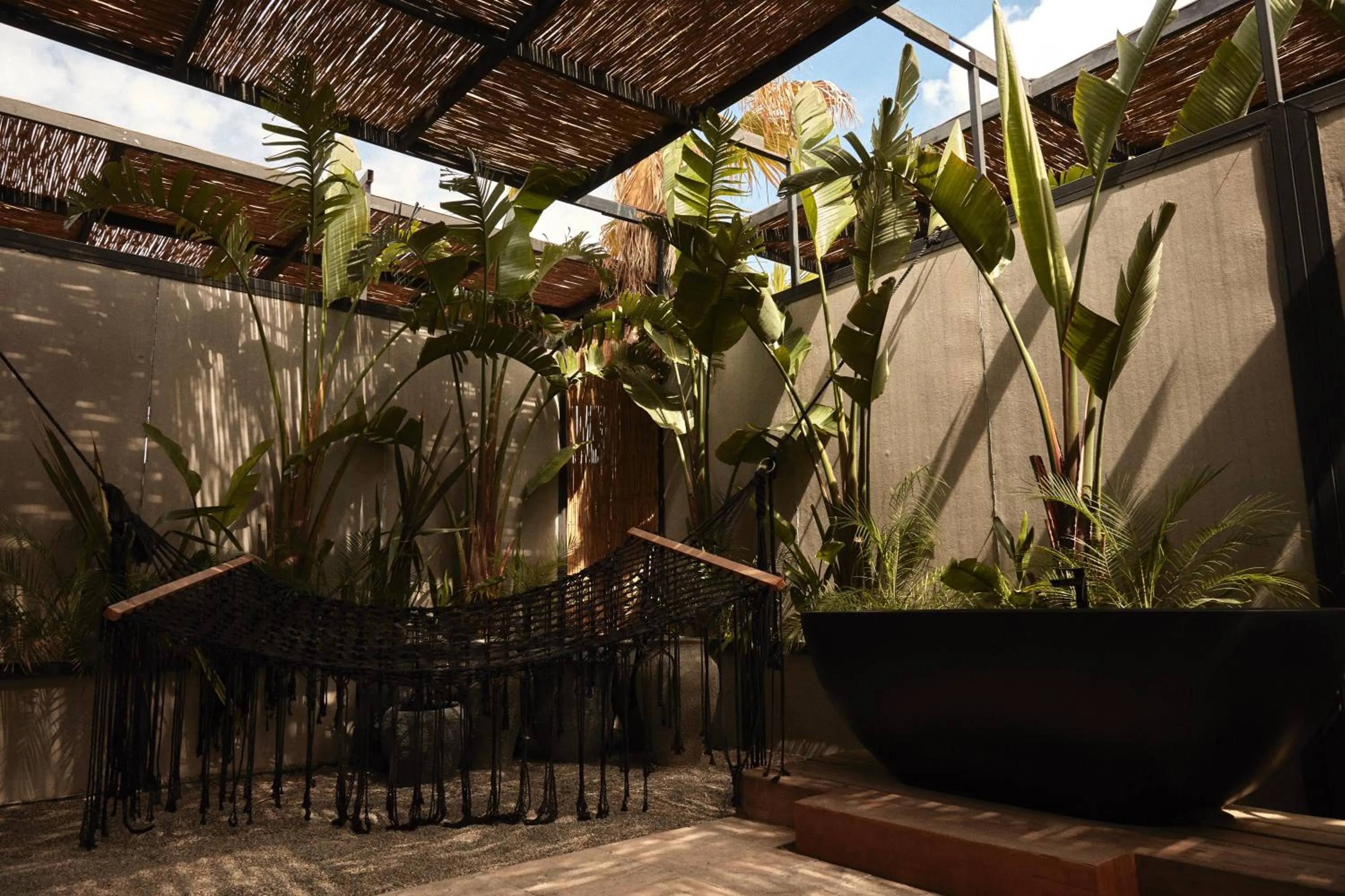 Garden in @before sunset