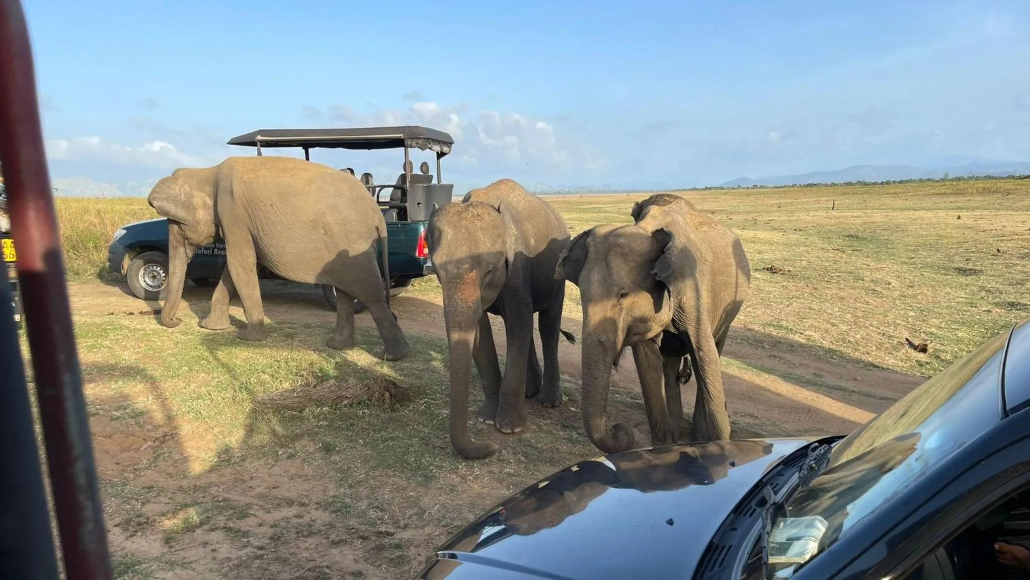 Nil Diya Mankada Safari Lodge