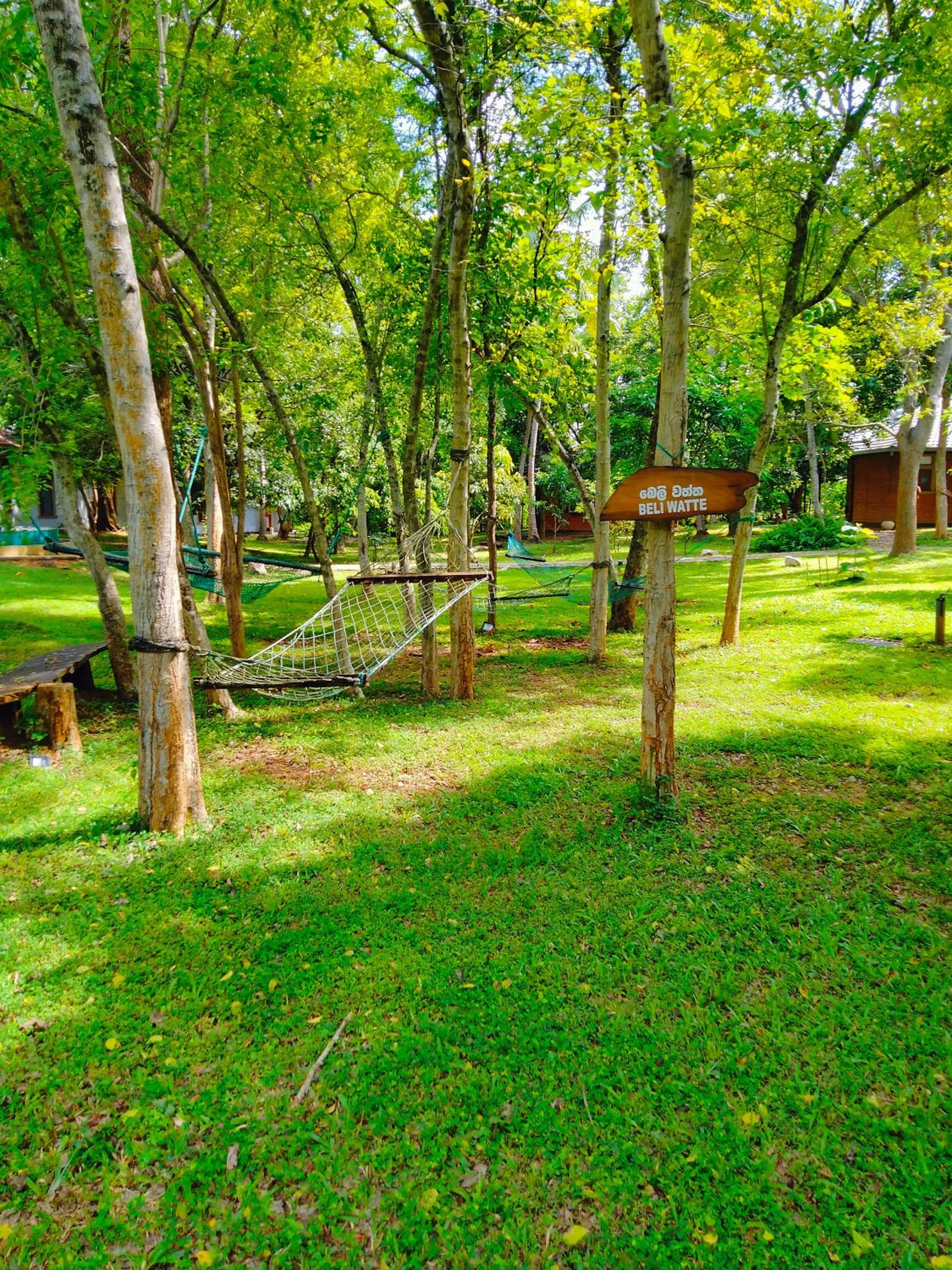 Spring in Nil Diya Mankada Safari Lodge